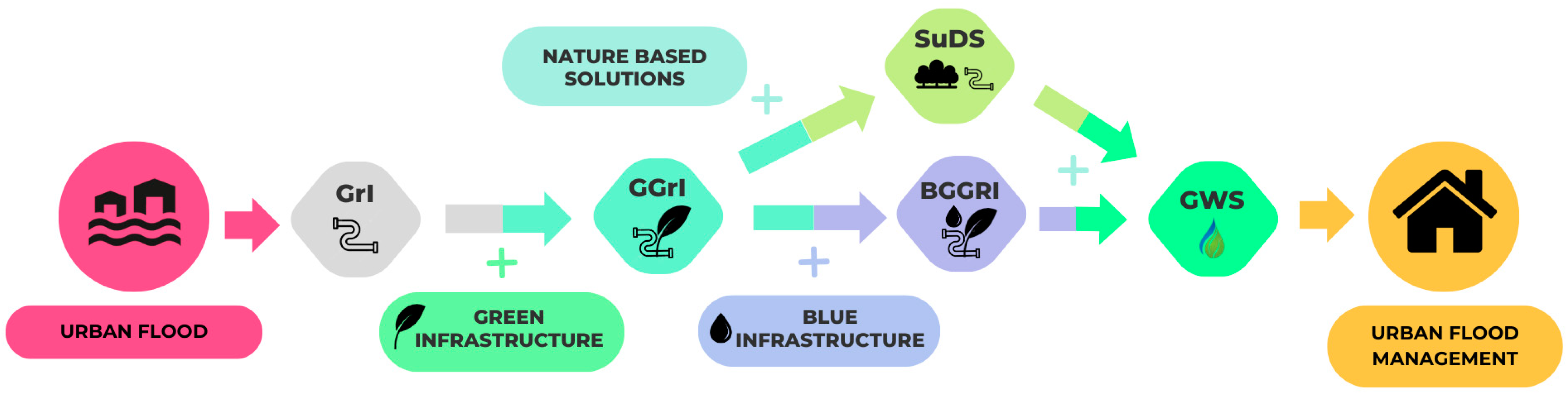 プロモーション Immune Cells, Gut Microbiota, and Vaccines: A Gender Perspective
