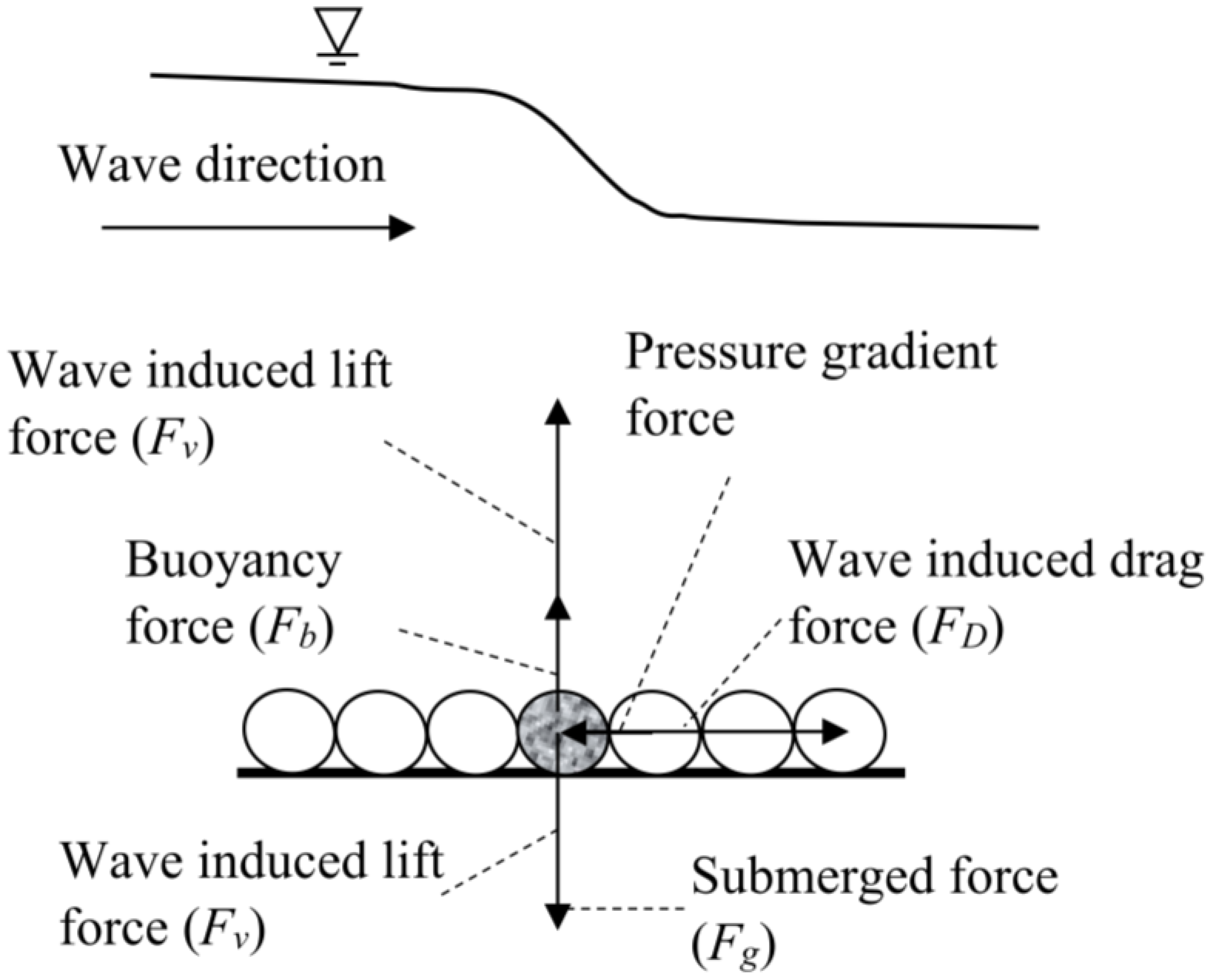 Water 16 02960 g001 Water 16 02960 g001