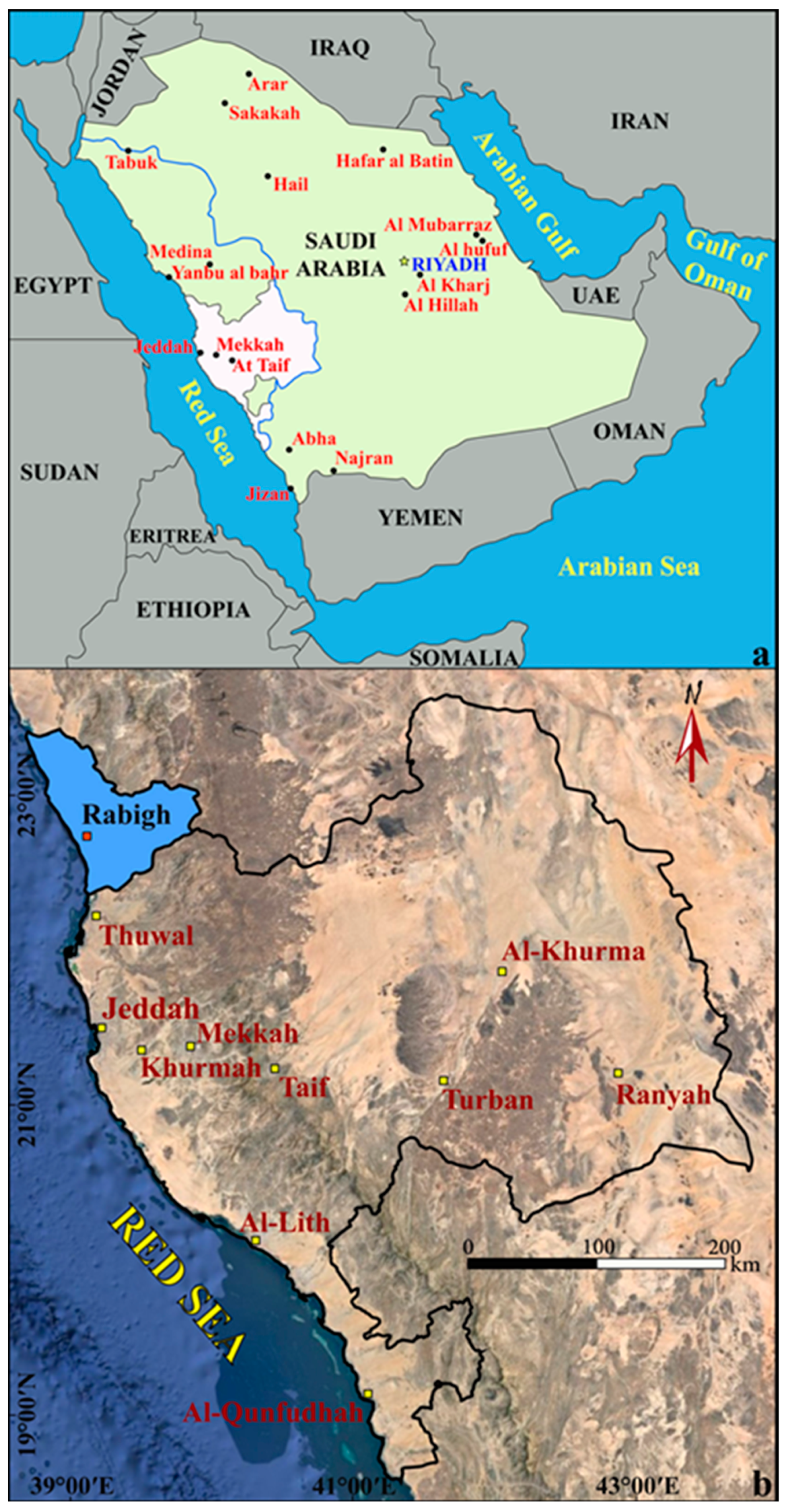 Water 16 02962 g001 Water 16 02962 g001