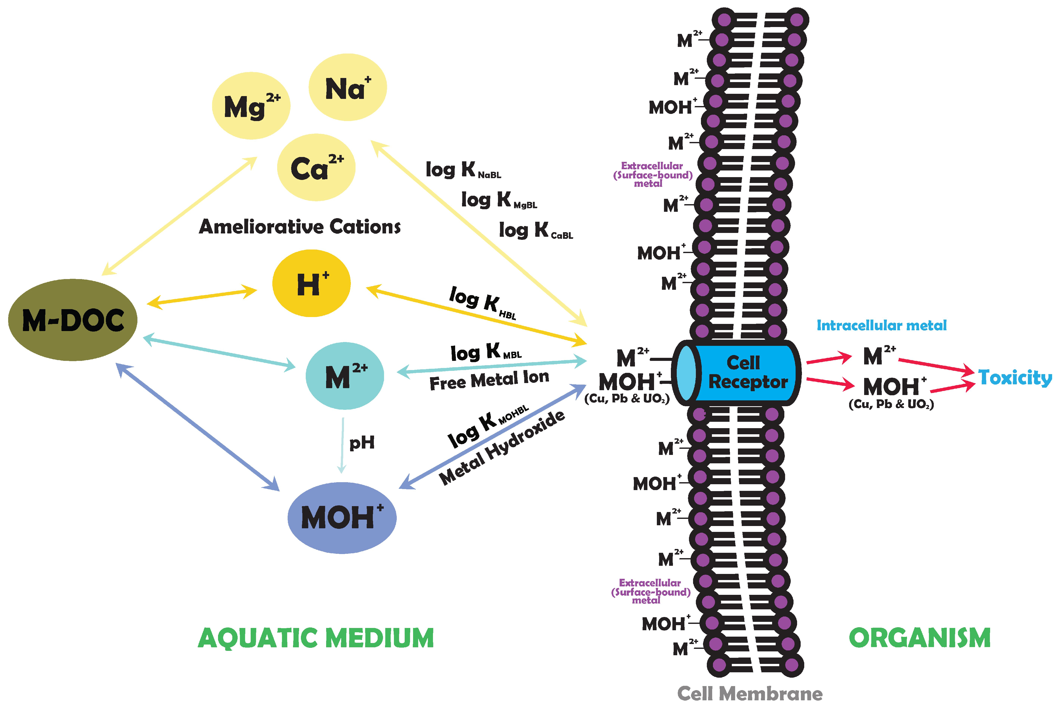 Water 16 02999 g001 Water 16 02999 g001