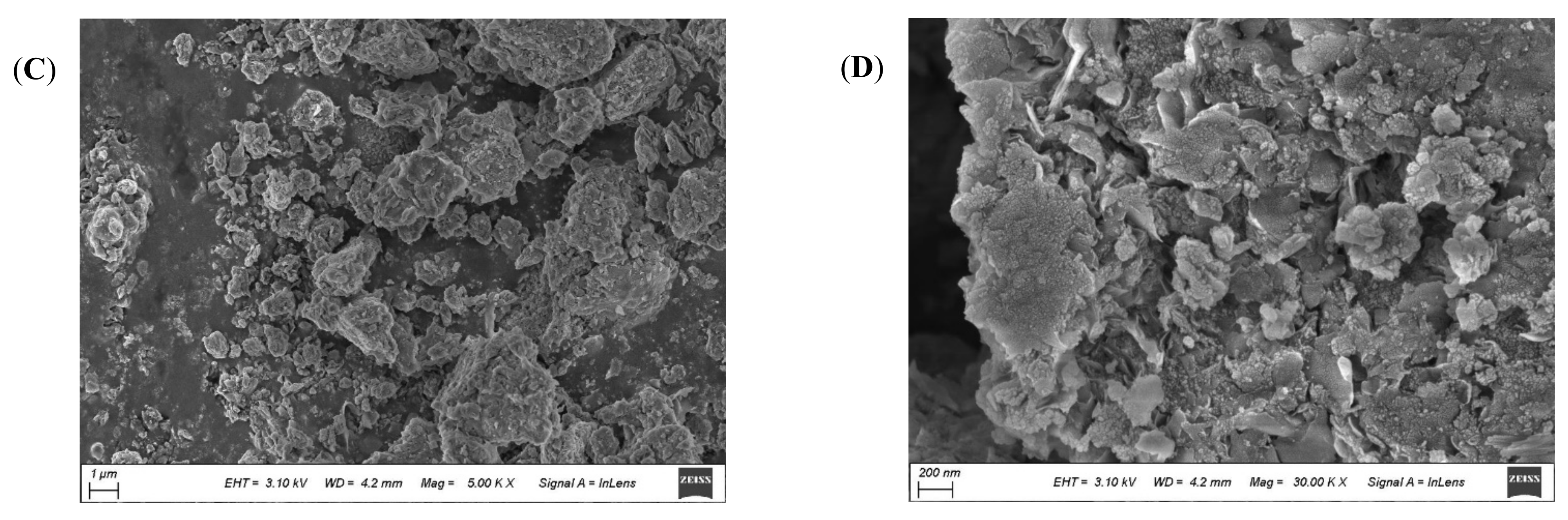 Water 16 03105 g004b