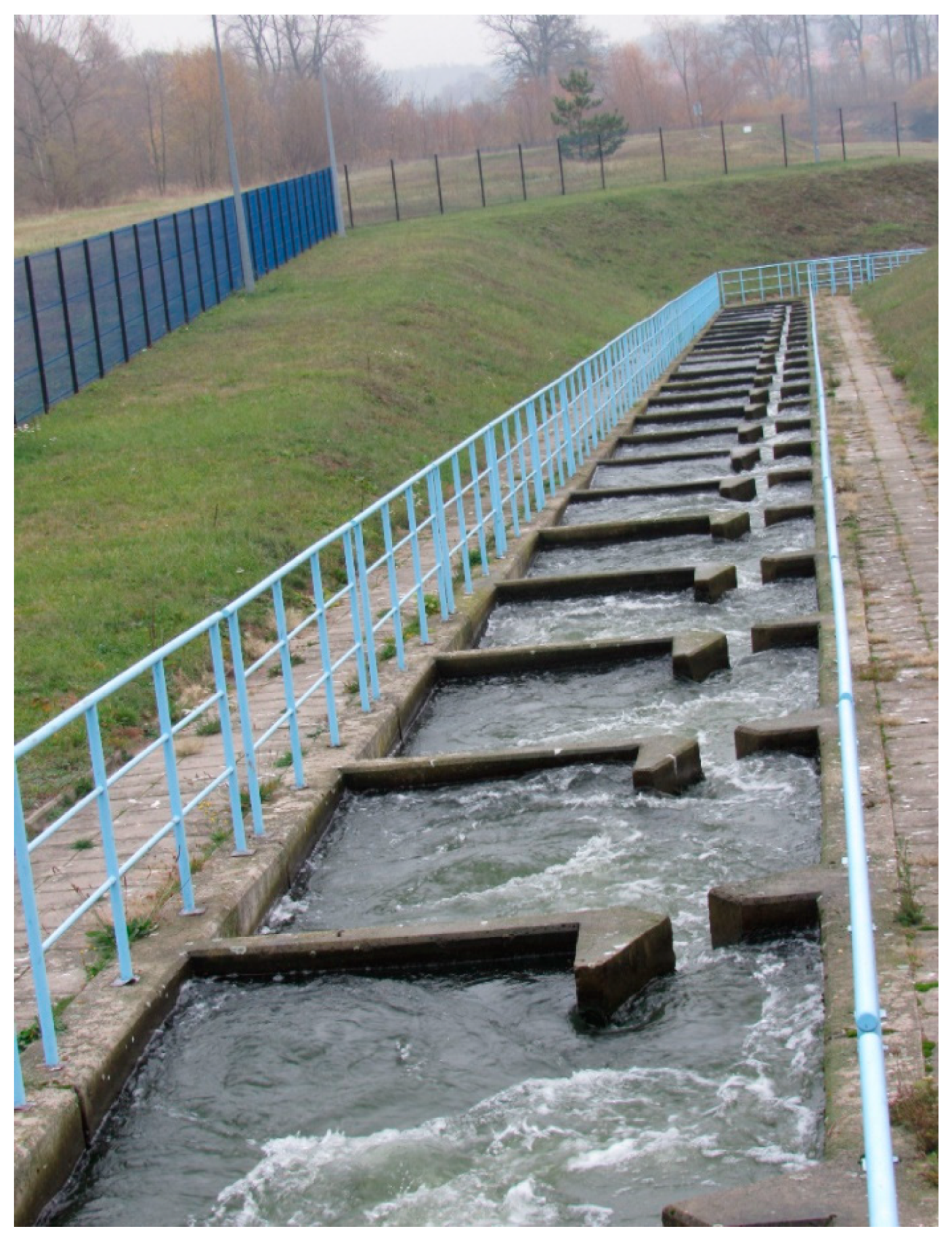 Water 16 03118 g002 Water 16 03118 g002