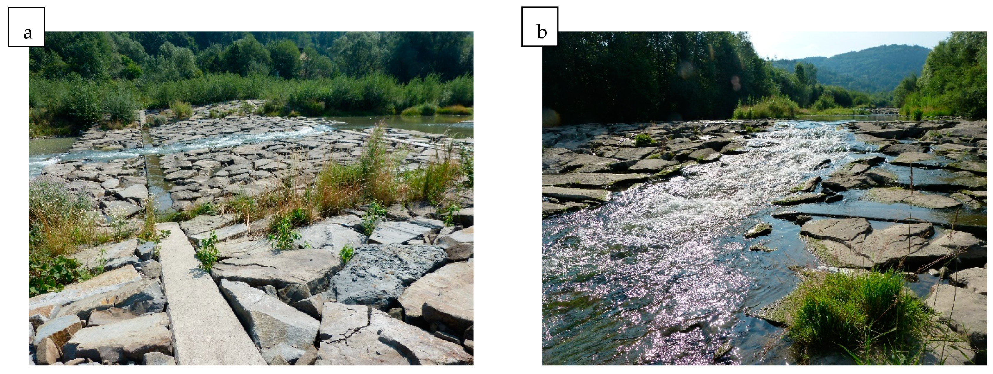 Water 16 03118 g011 Water 16 03118 g011