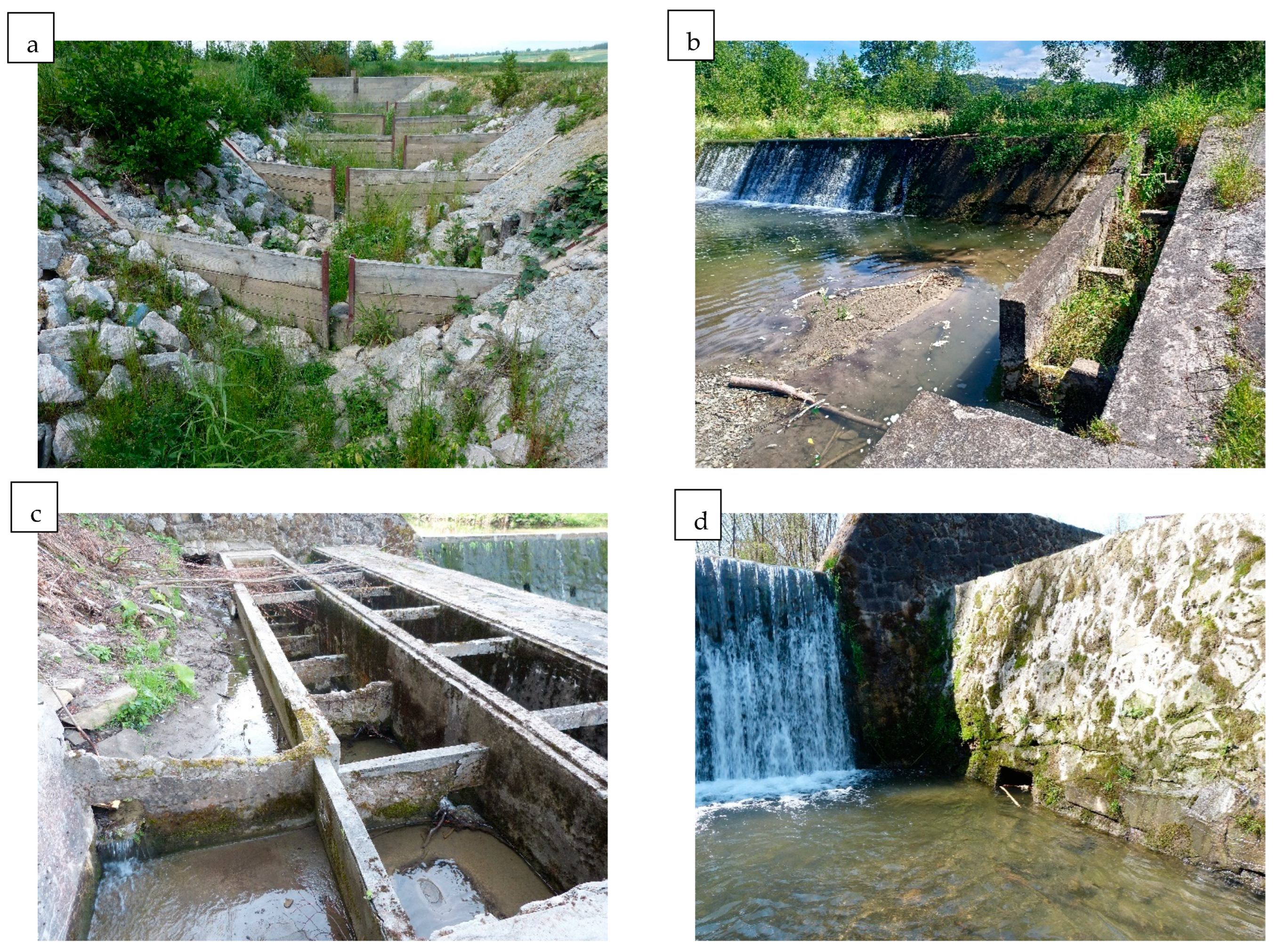 Water 16 03118 g012 Water 16 03118 g012