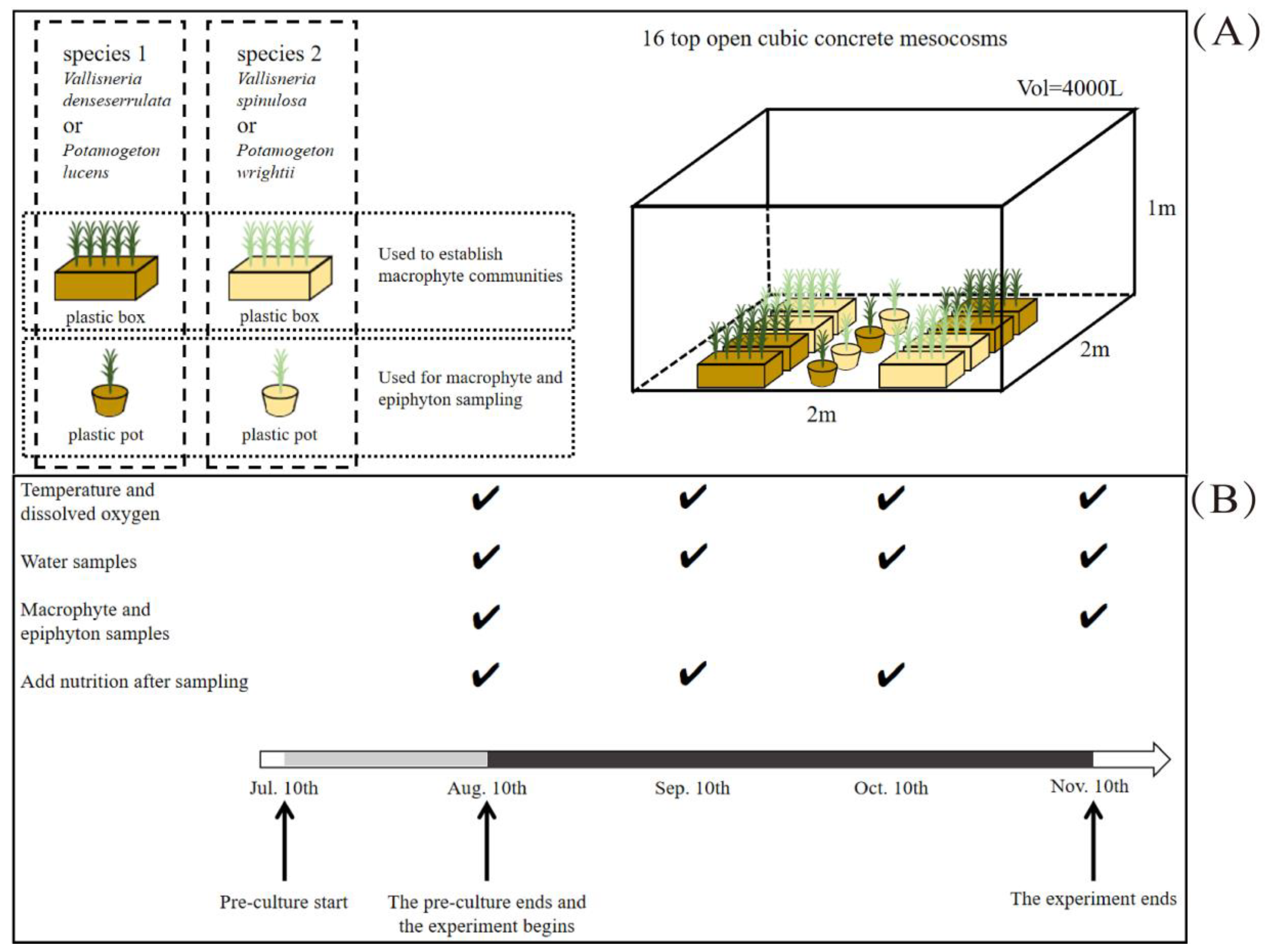Water 16 03196 g002 Water 16 03196 g002