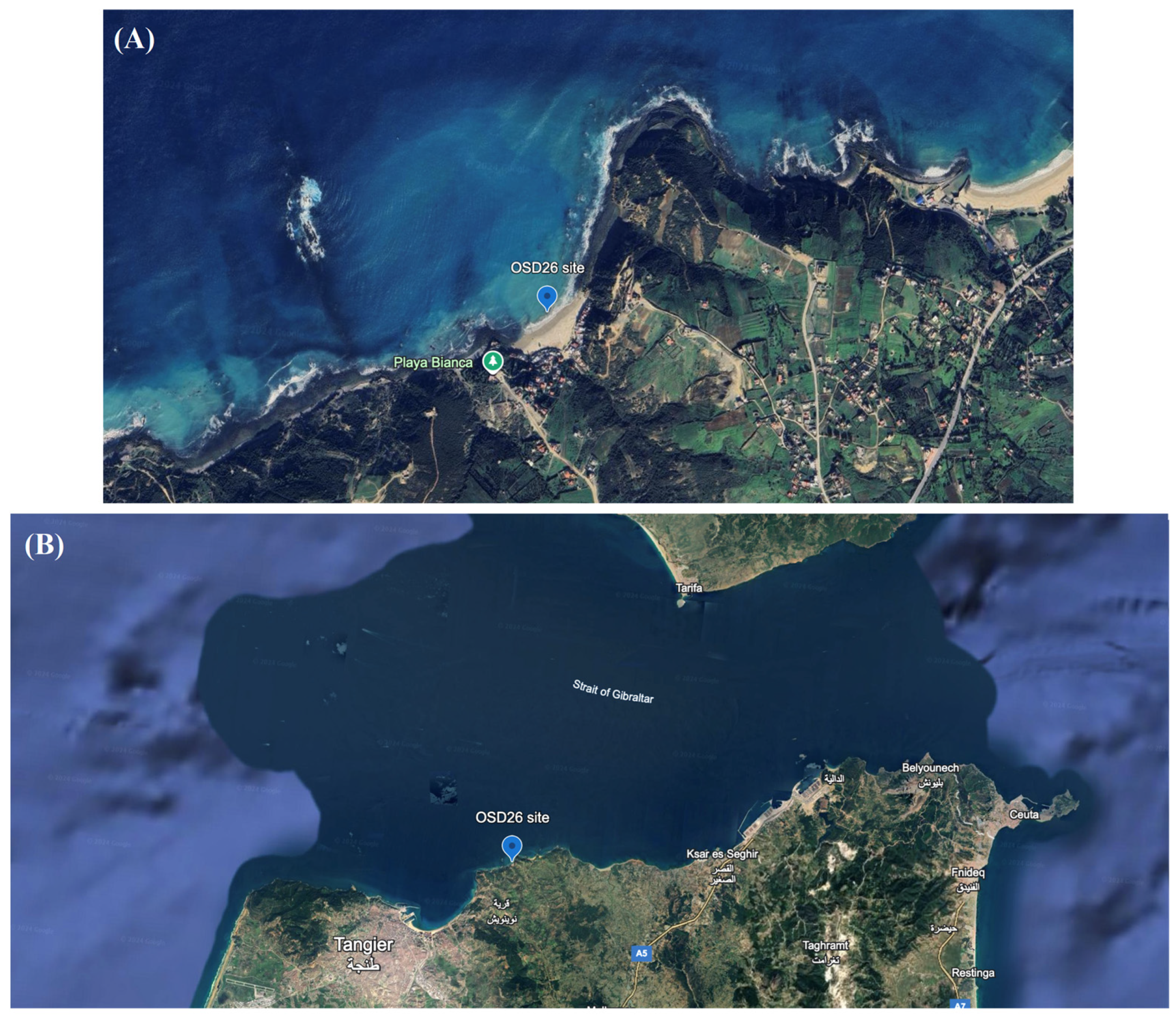 Water 16 03202 g001 Water 16 03202 g001