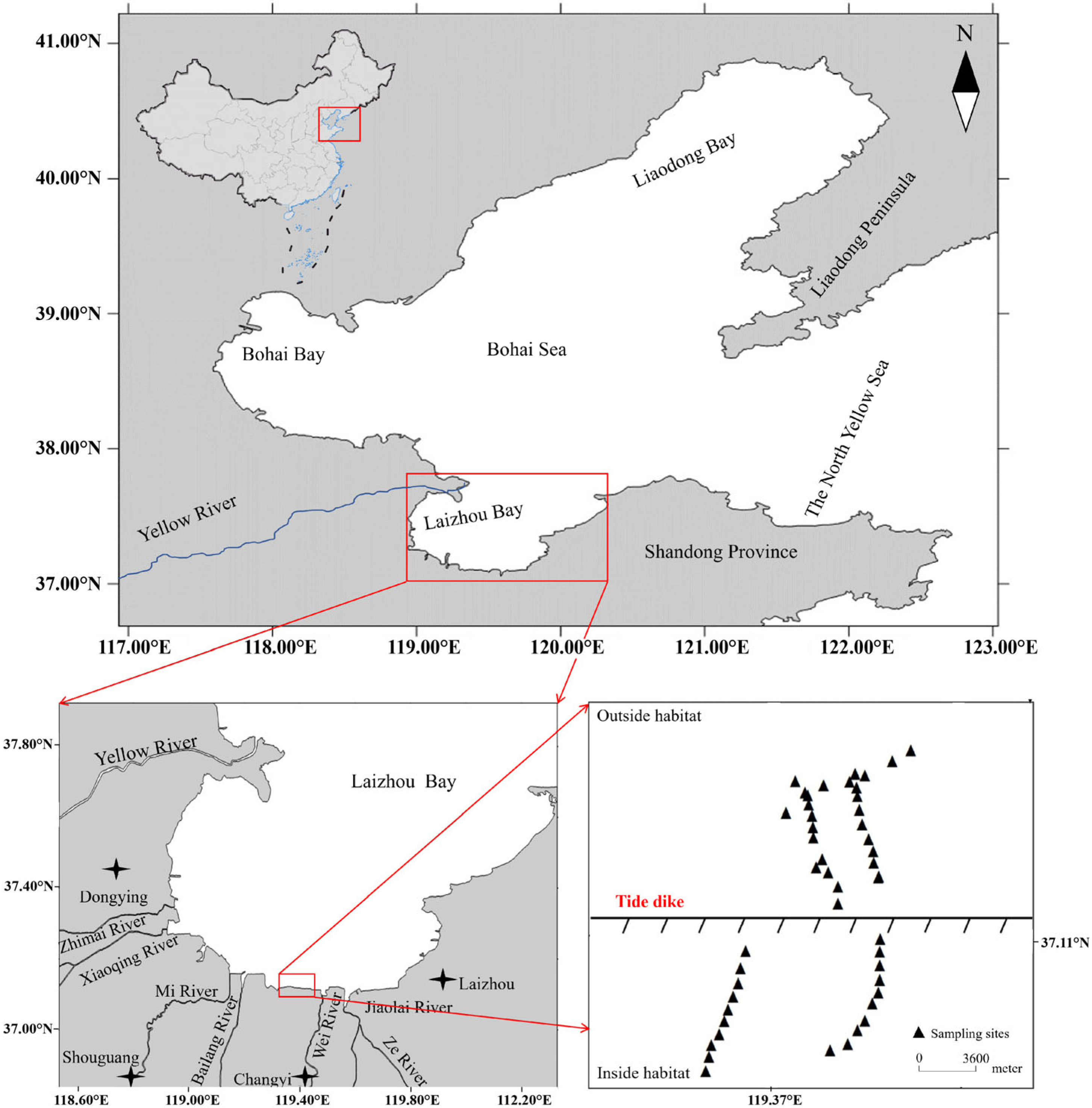 Effects of Tide Dikes on the Distribution and Accumulation