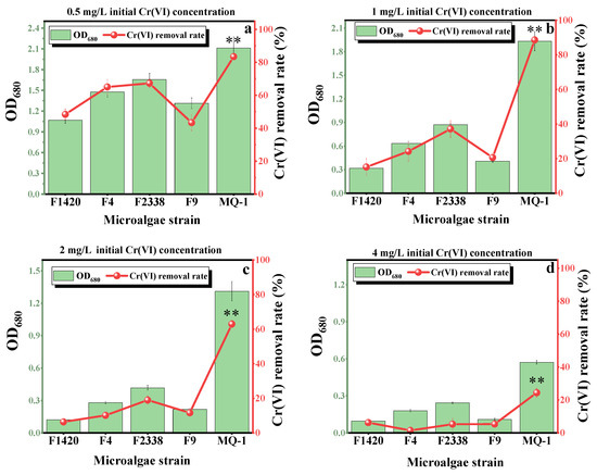 Efficient Solar-Powered Bioremediation of Hexavalent