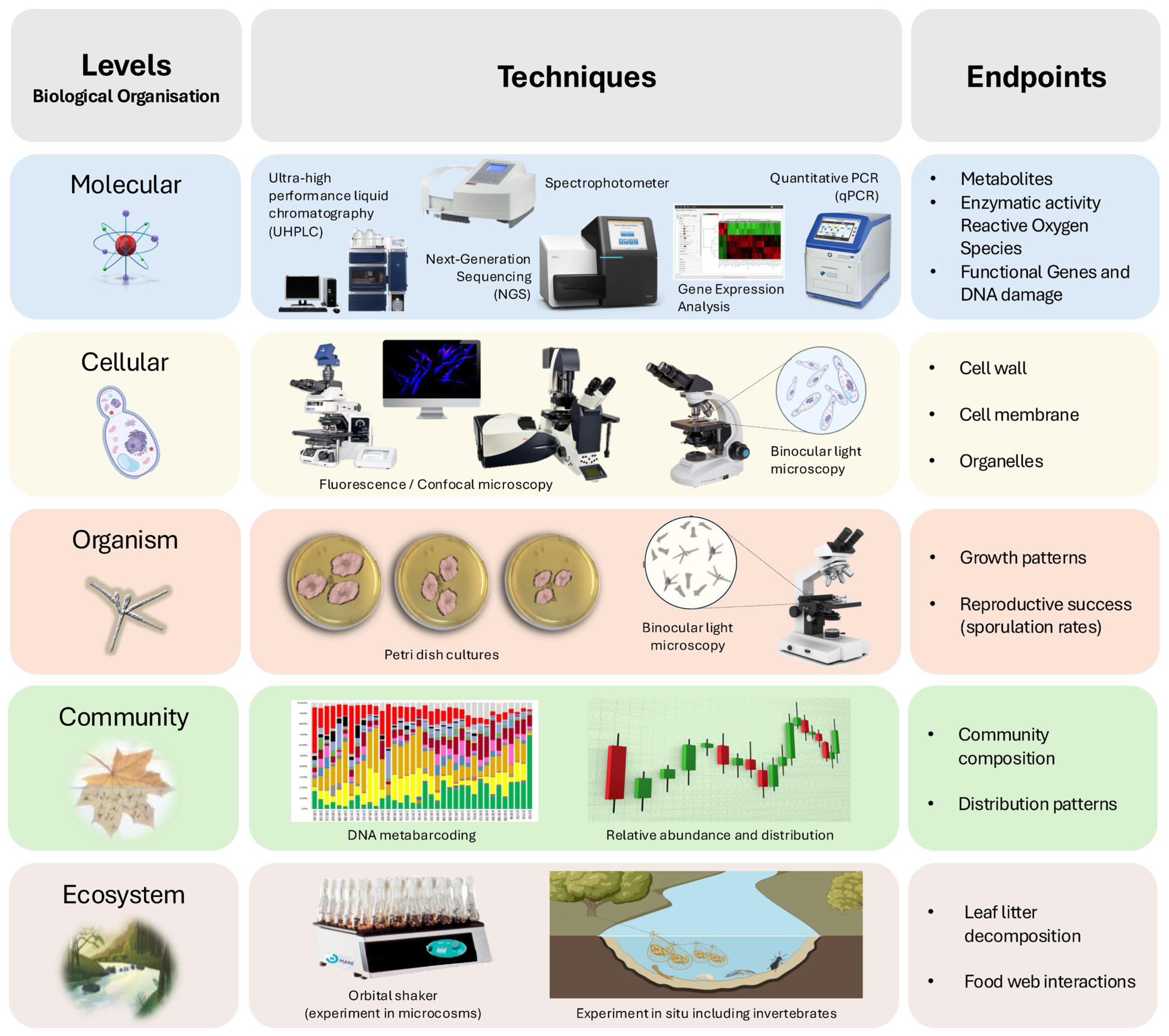Water 16 03404 g001 Water 16 03404 g001