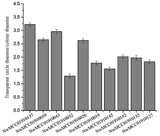 Screening, Identification, and Optimization of Enzyme Production for ...