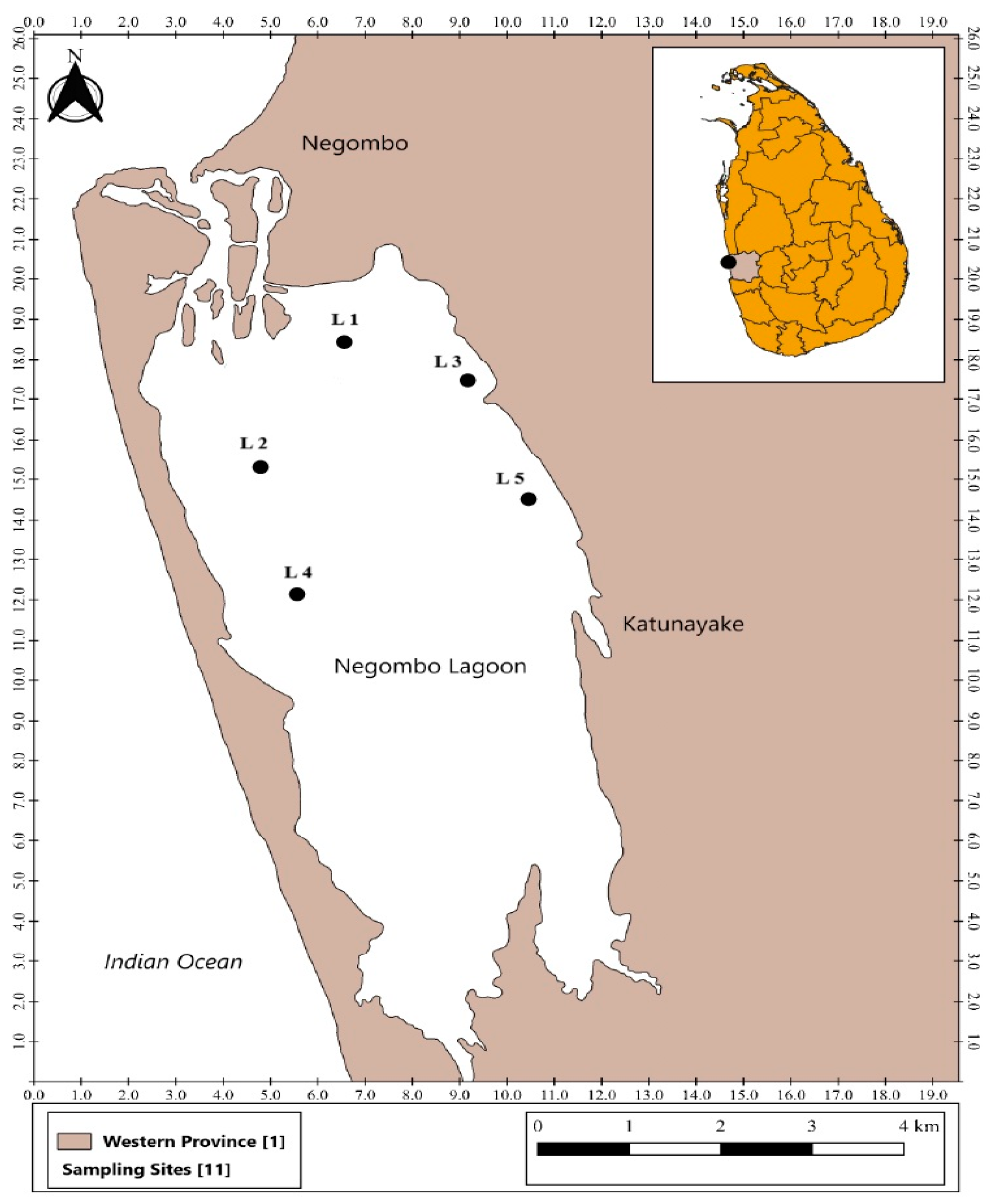 Water 16 03534 g001 Water 16 03534 g001