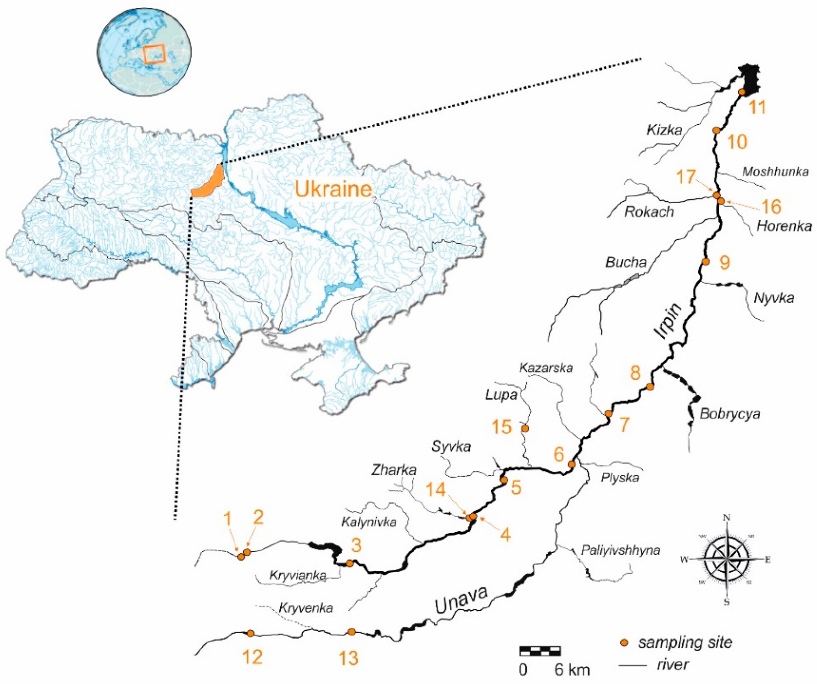 Water 16 03604 g001 Water 16 03604 g001