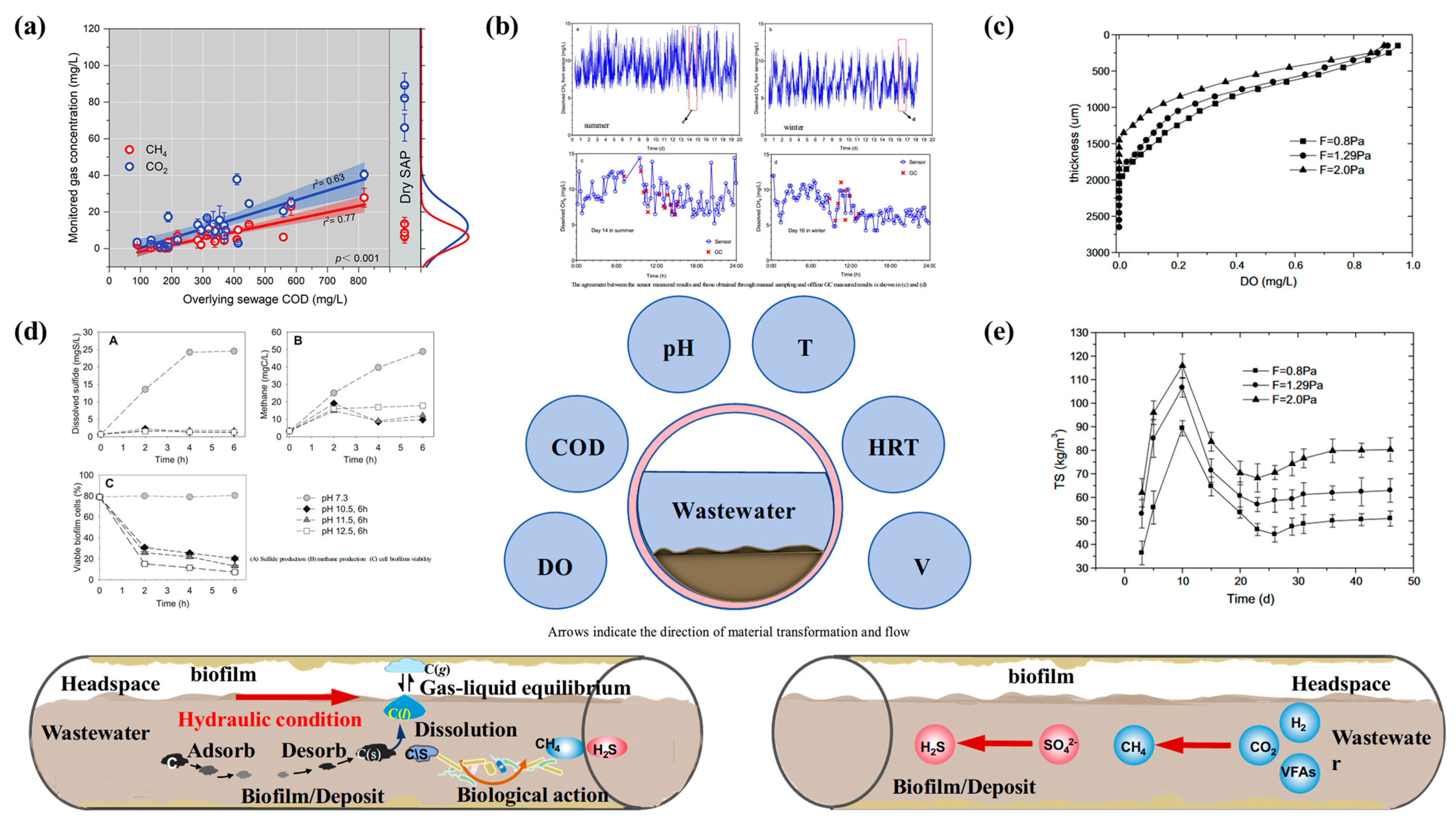 Water 16 03618 g002 Water 16 03618 g002