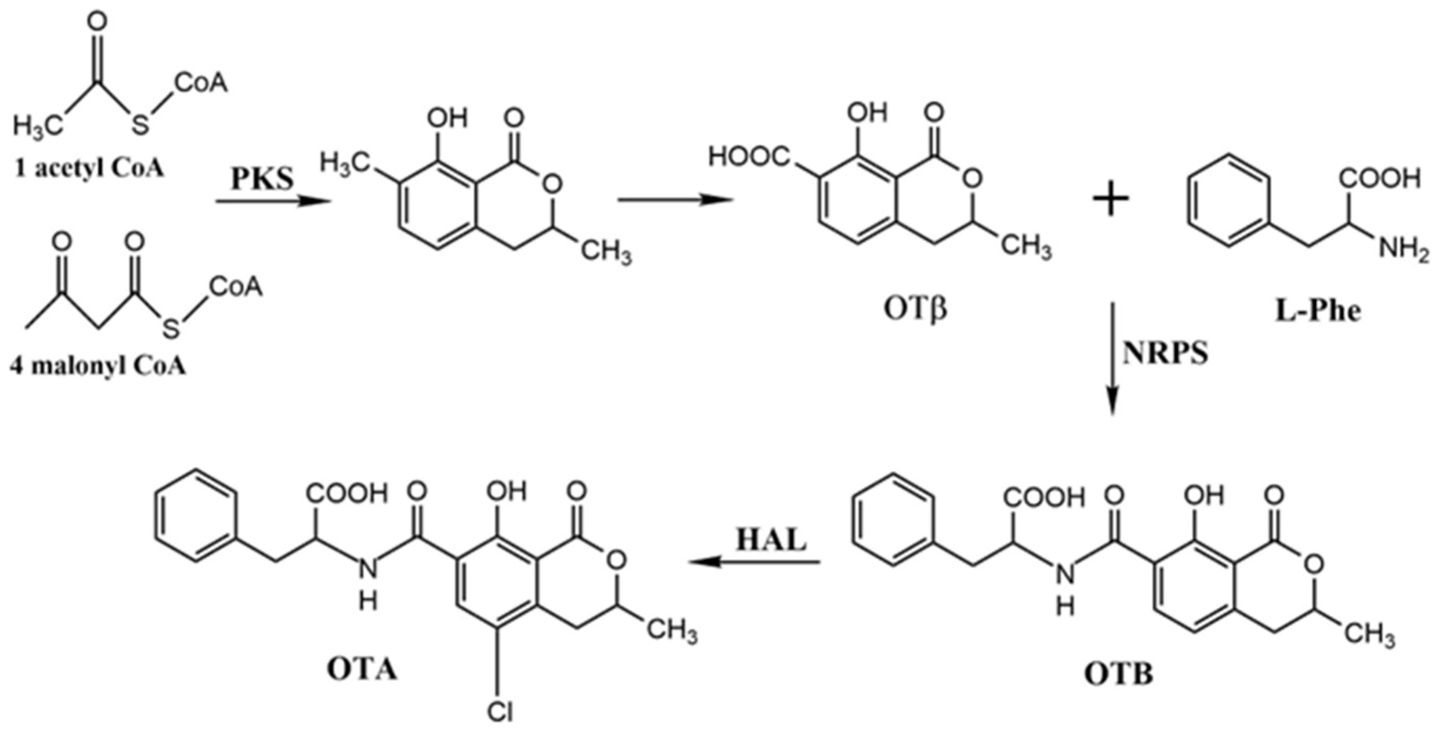 Water 16 03620 g002 Water 16 03620 g002