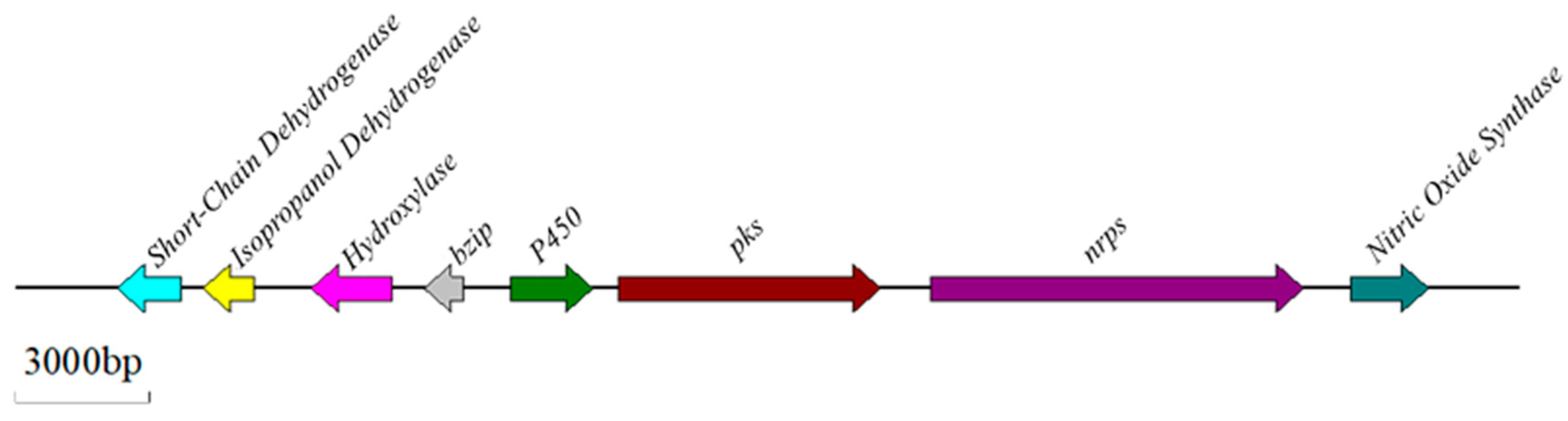 Water 16 03620 g003 Water 16 03620 g003