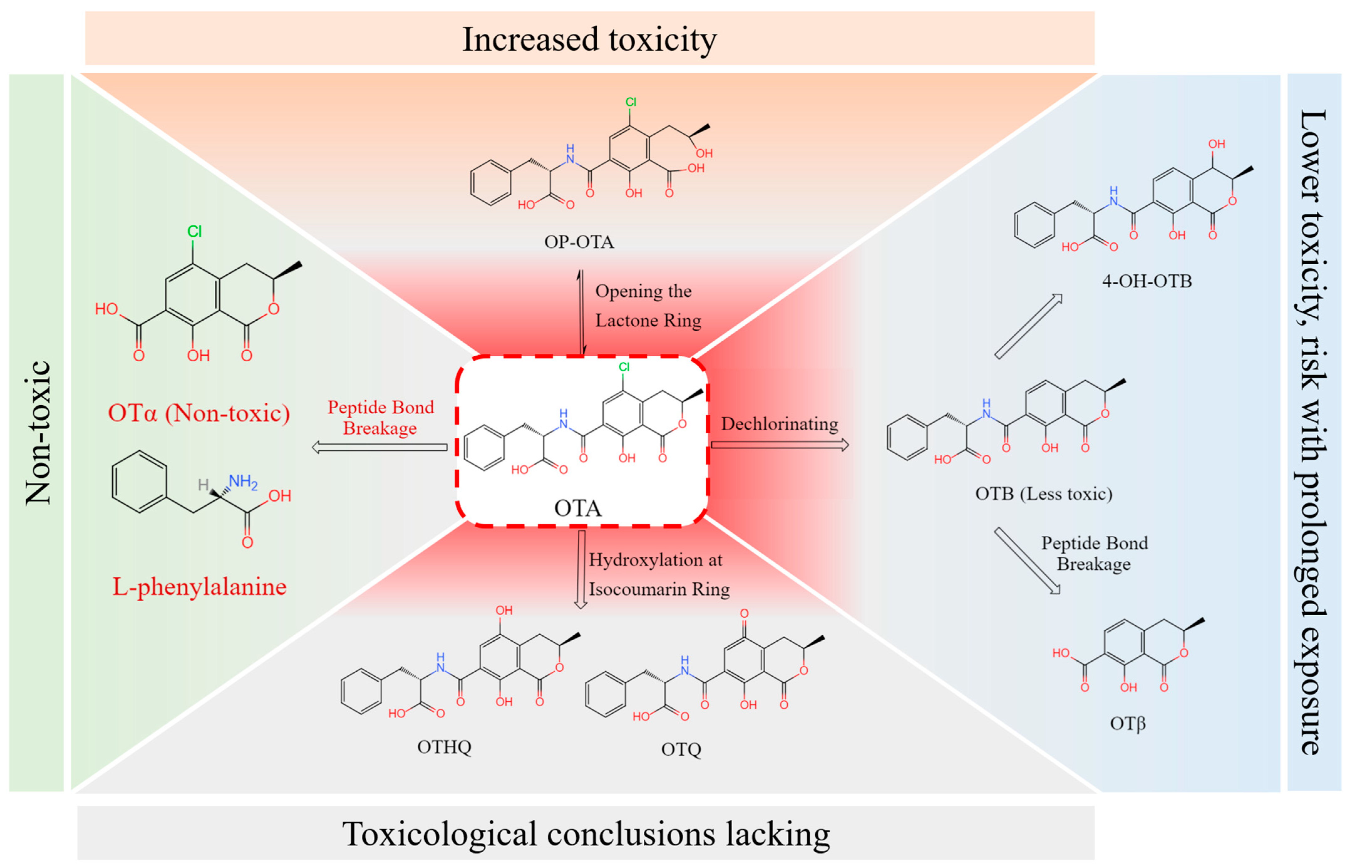 Water 16 03620 g005 Water 16 03620 g005