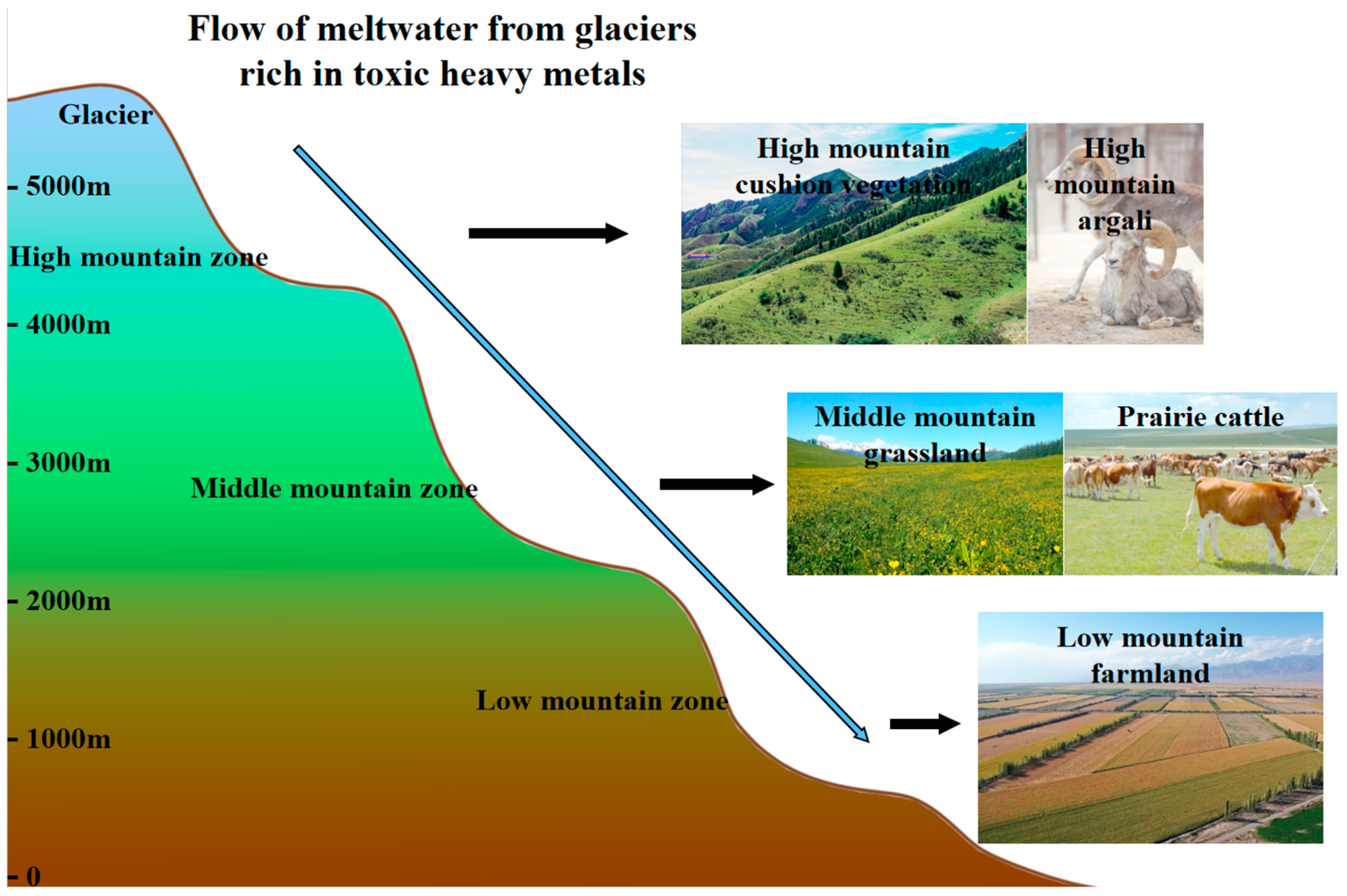 Water 16 03715 g003 Water 16 03715 g003
