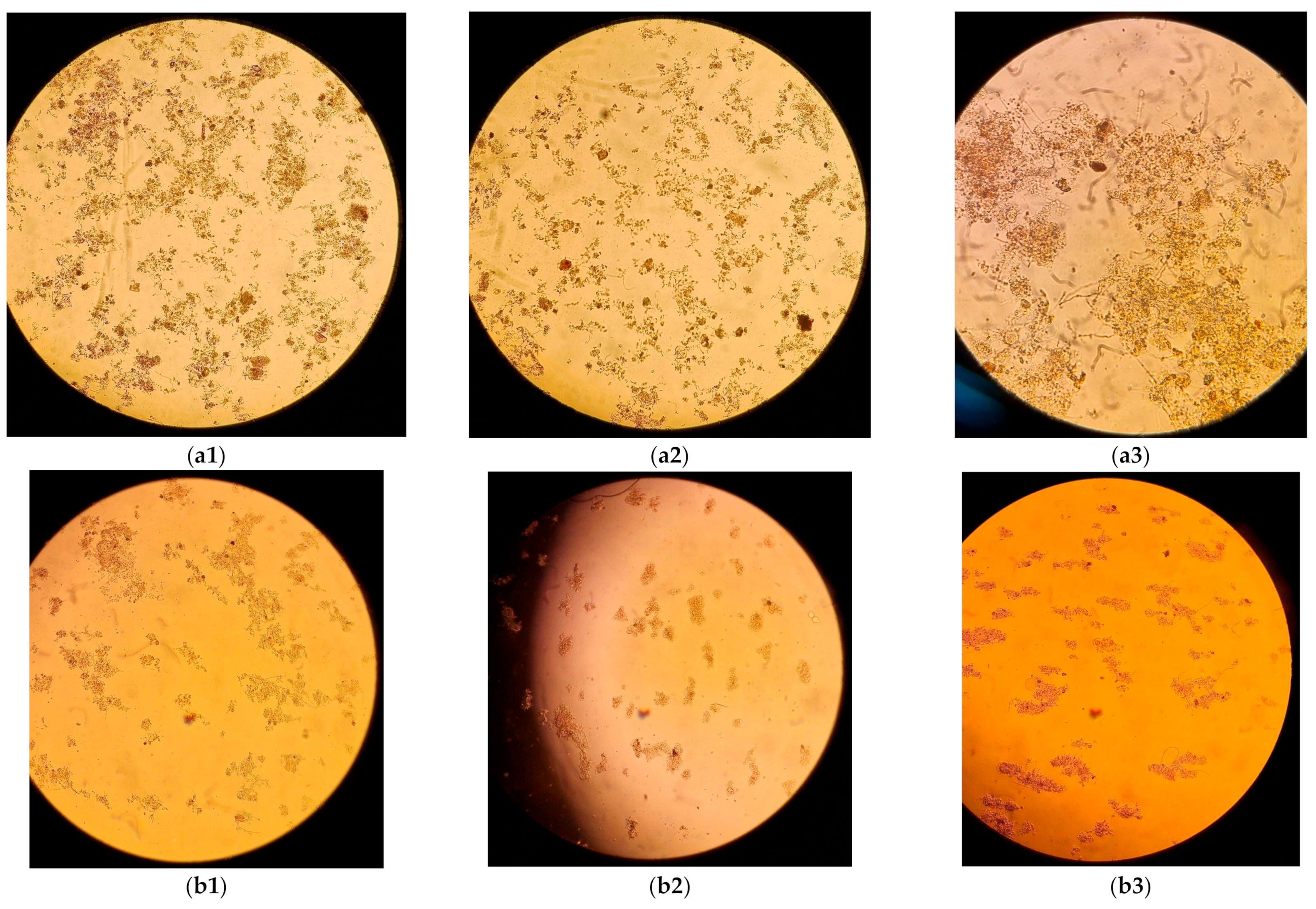 Water 17 00007 g016 Water 17 00007 g016