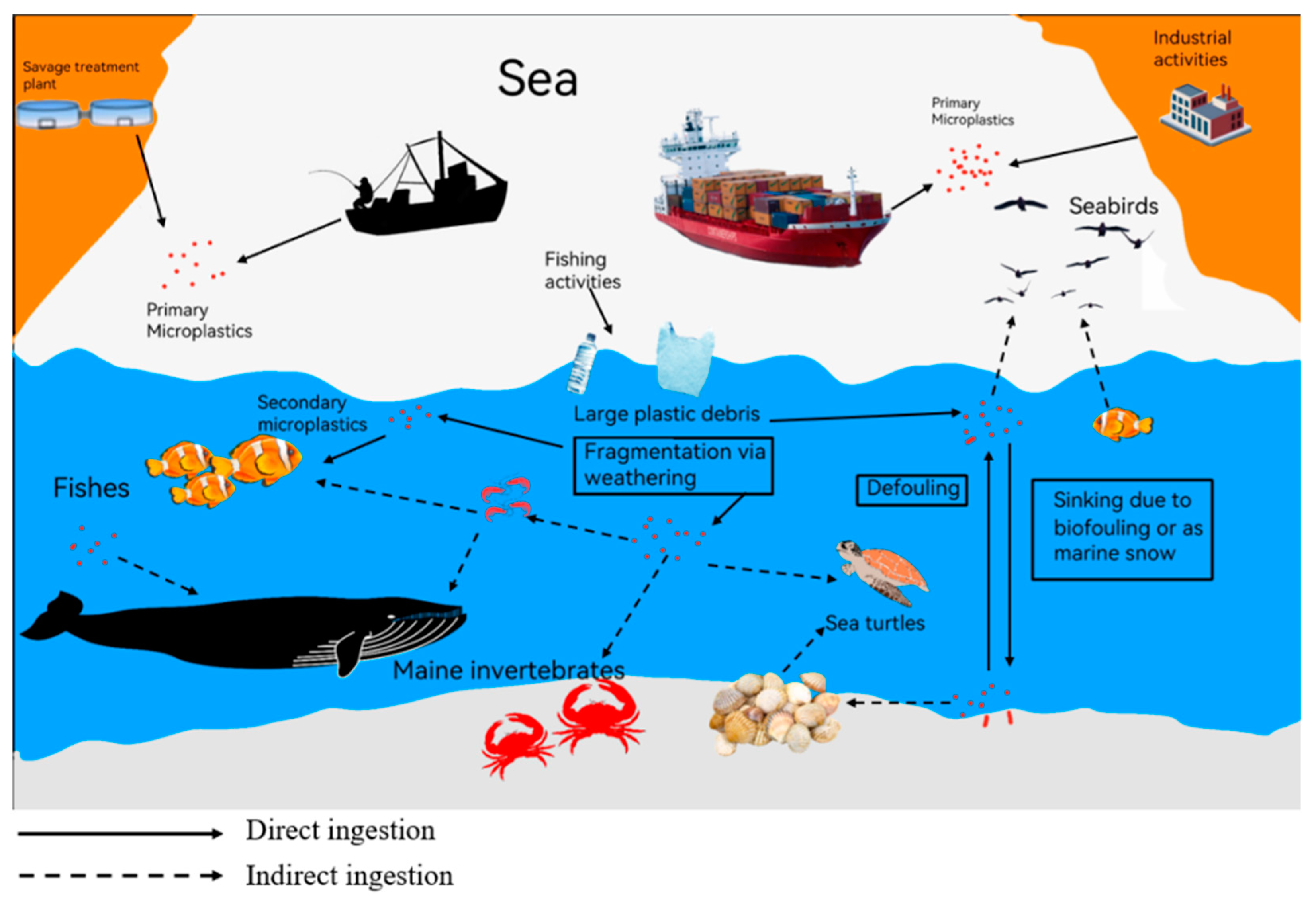 A Review of Sources, Hazards, and Removal Methods of