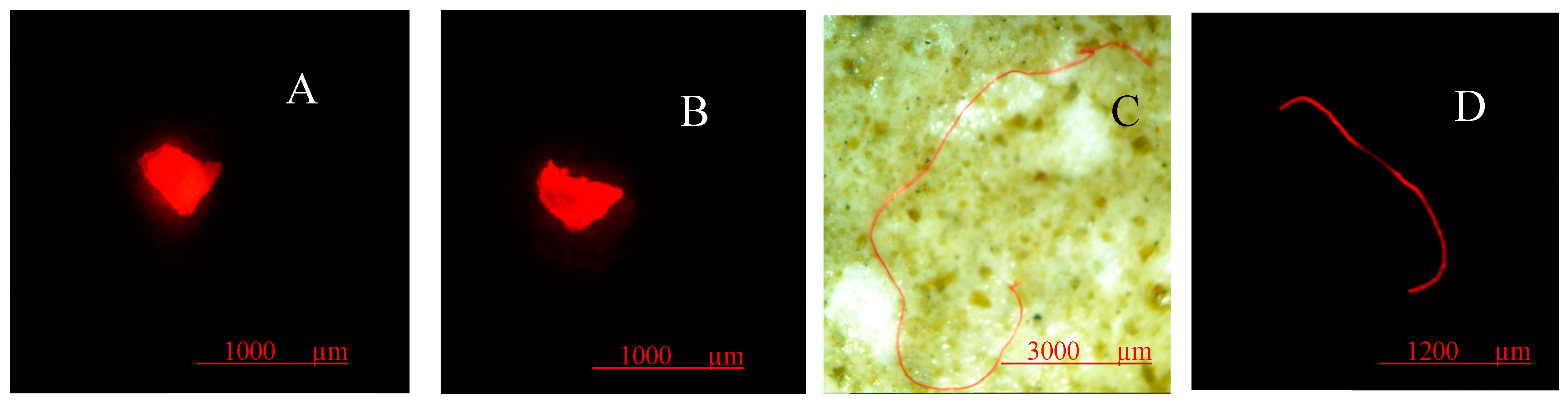 Water 17 00157 g005 Water 17 00157 g005