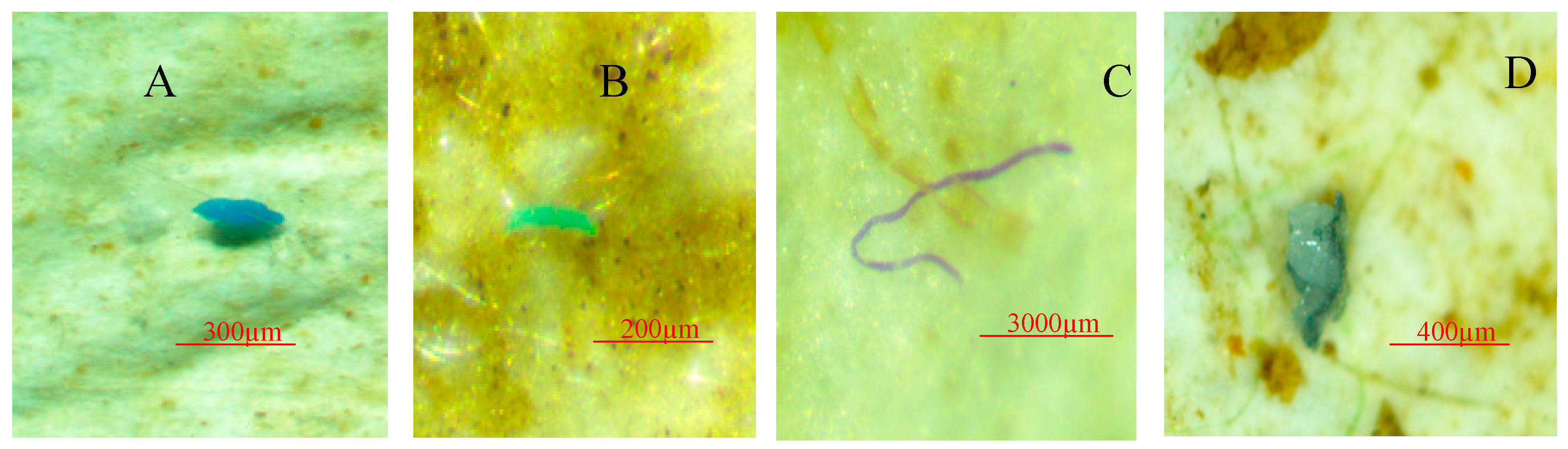 Water 17 00157 g010 Water 17 00157 g010