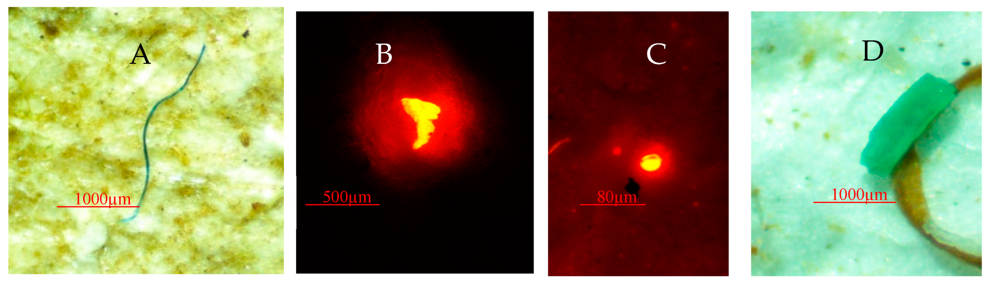 Water 17 00157 g011 Water 17 00157 g011