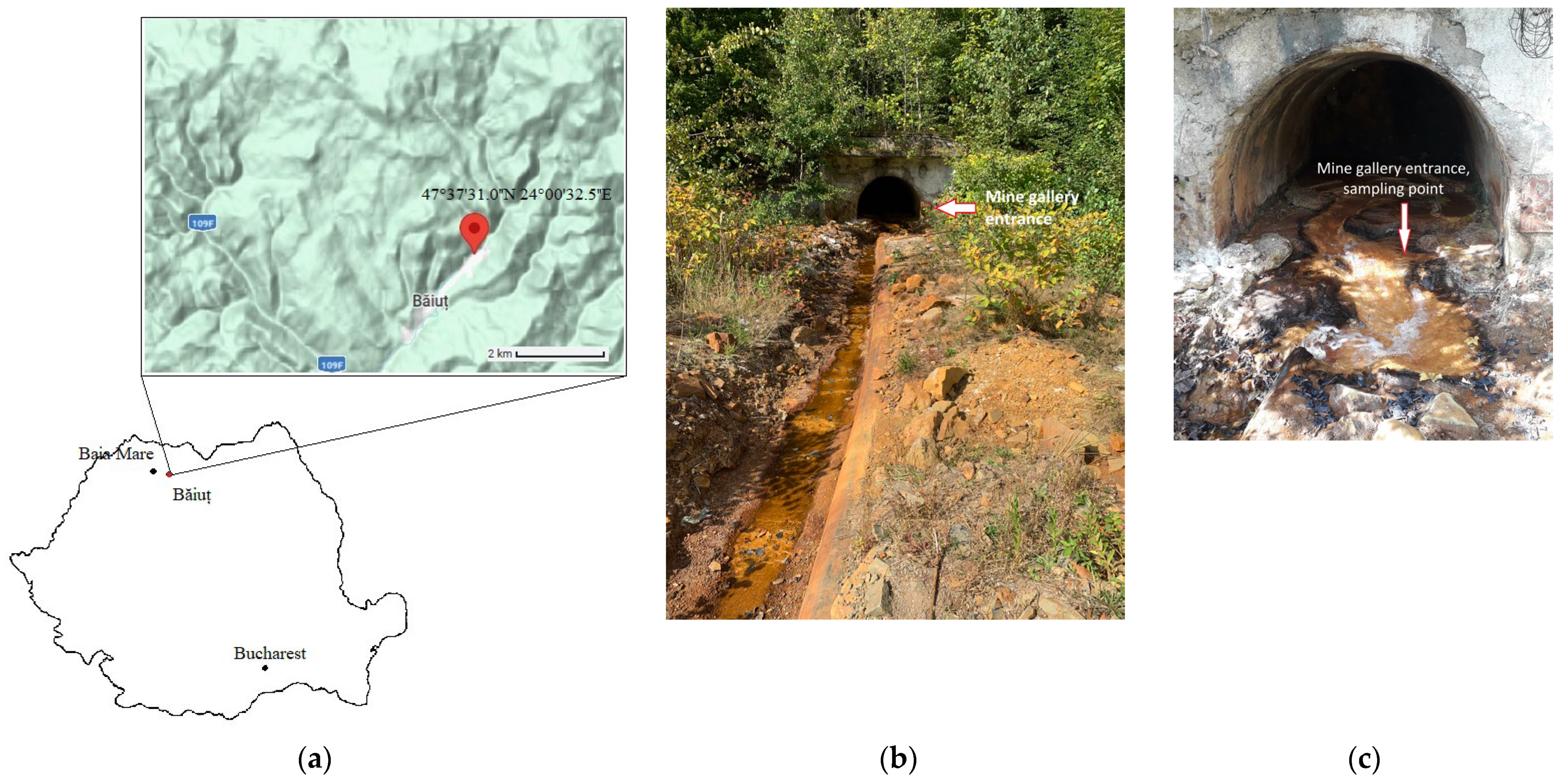 Water 17 00225 g001 Water 17 00225 g001