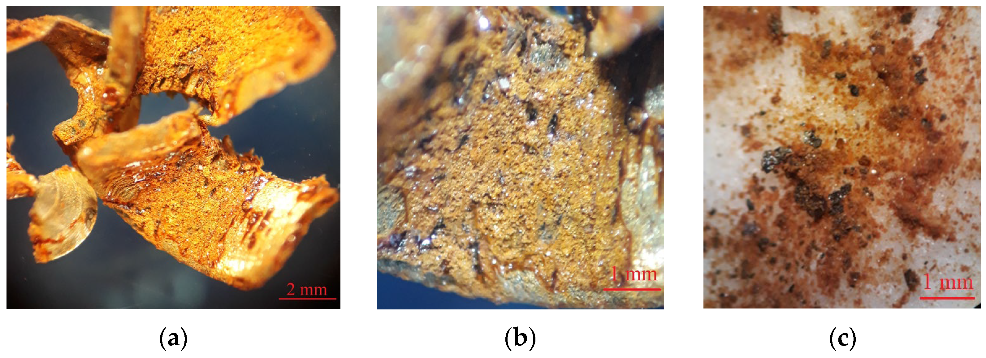 Water 17 00225 g006 Water 17 00225 g006