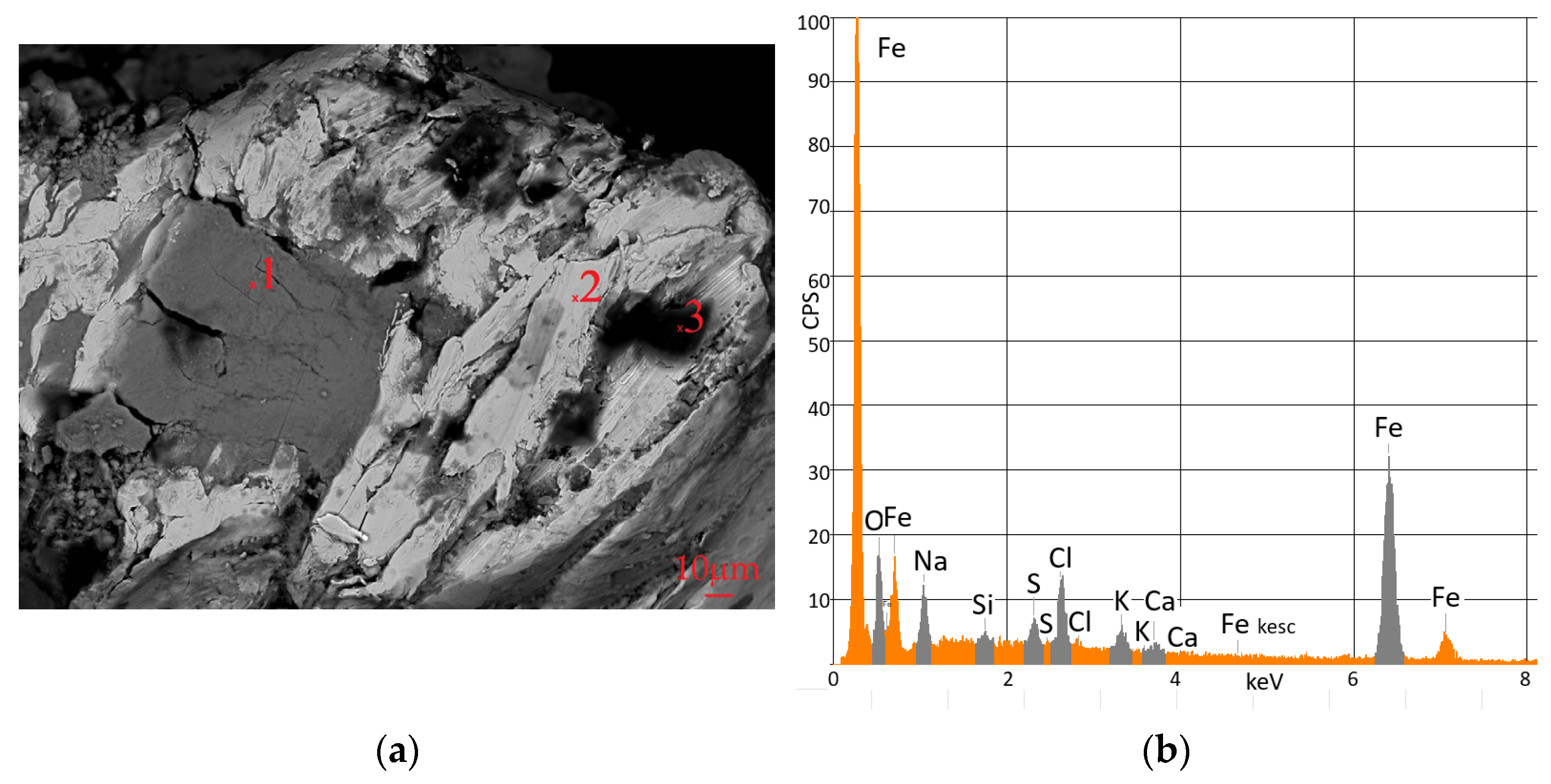 Water 17 00225 g008 Water 17 00225 g008