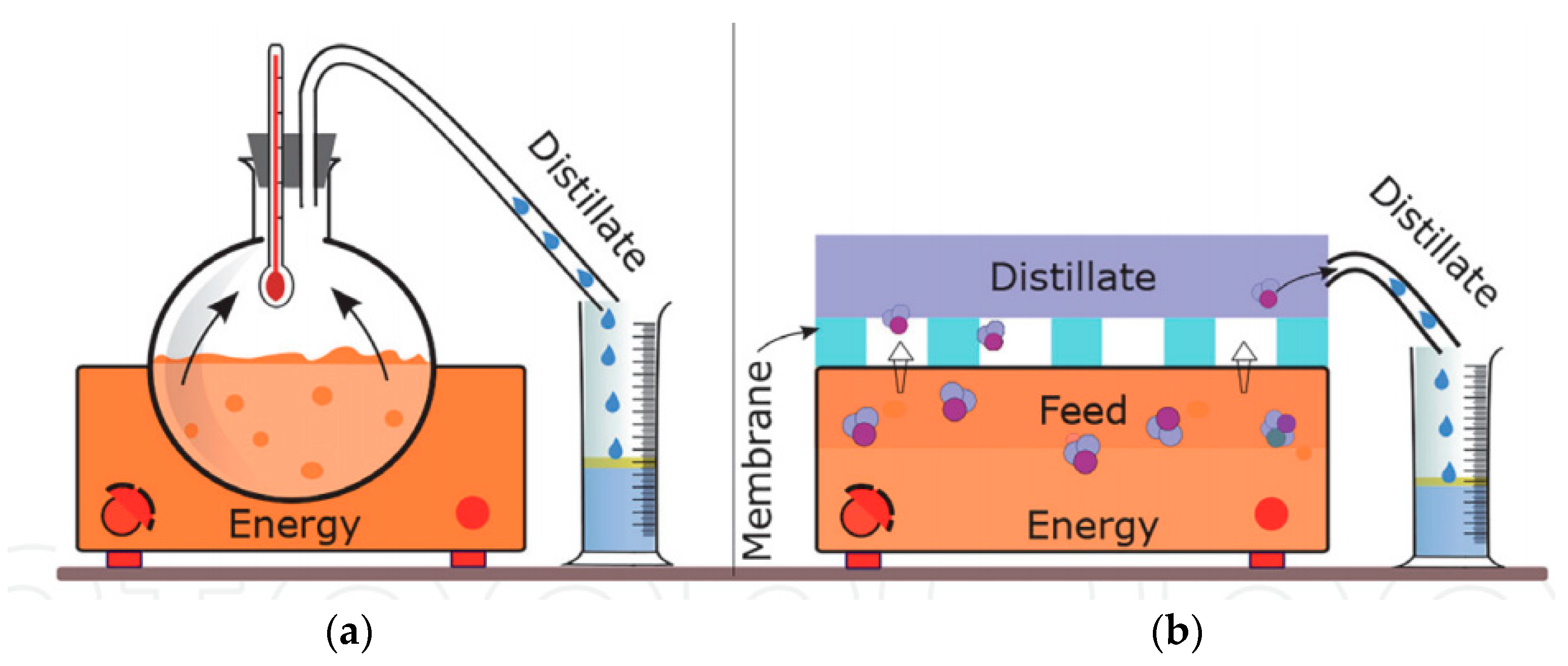 Water 17 00279 g016 Water 17 00279 g016
