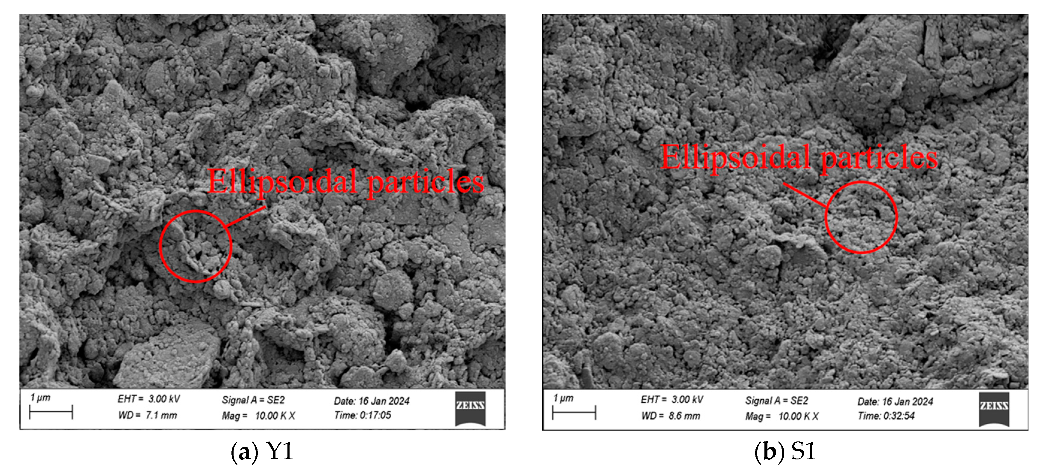 Water 17 00286 g007a