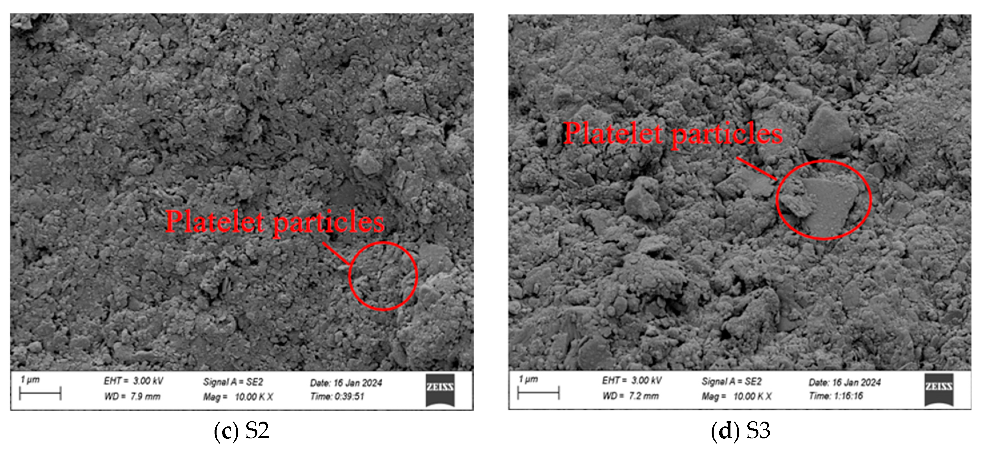 Water 17 00286 g007b