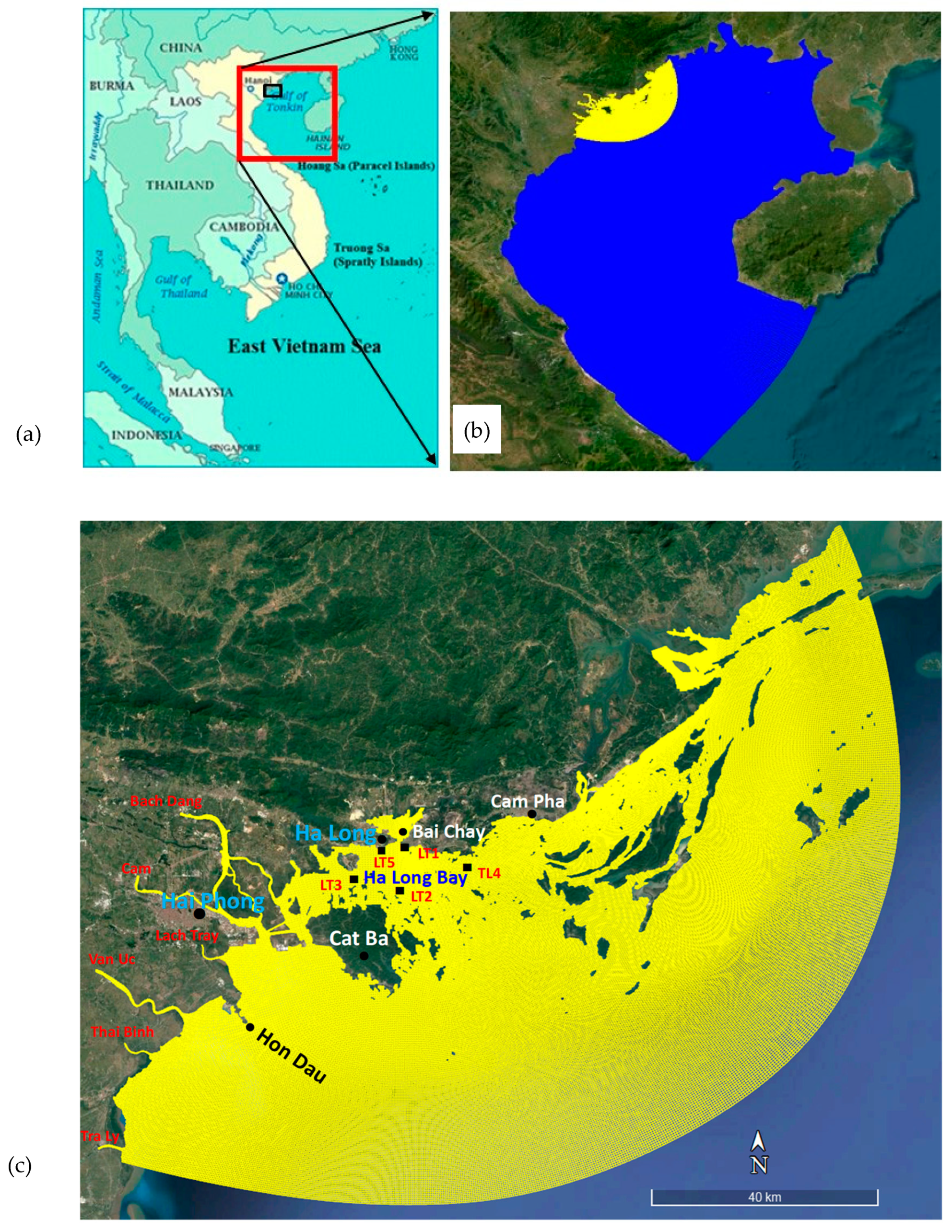 Water 17 00319 g001 Water 17 00319 g001