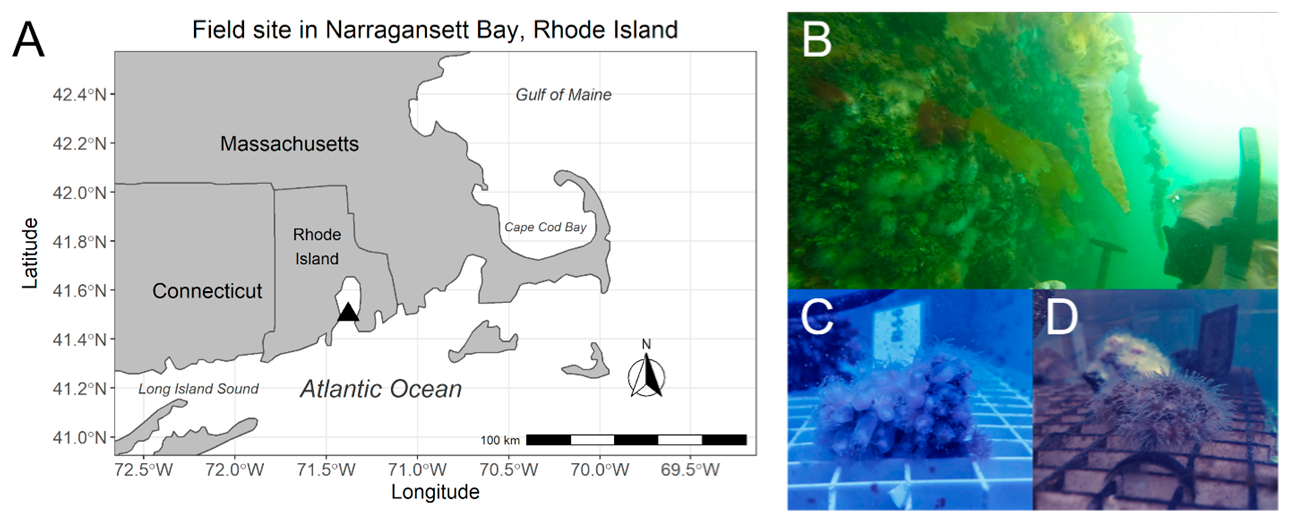 Water 17 00411 g001 Water 17 00411 g001
