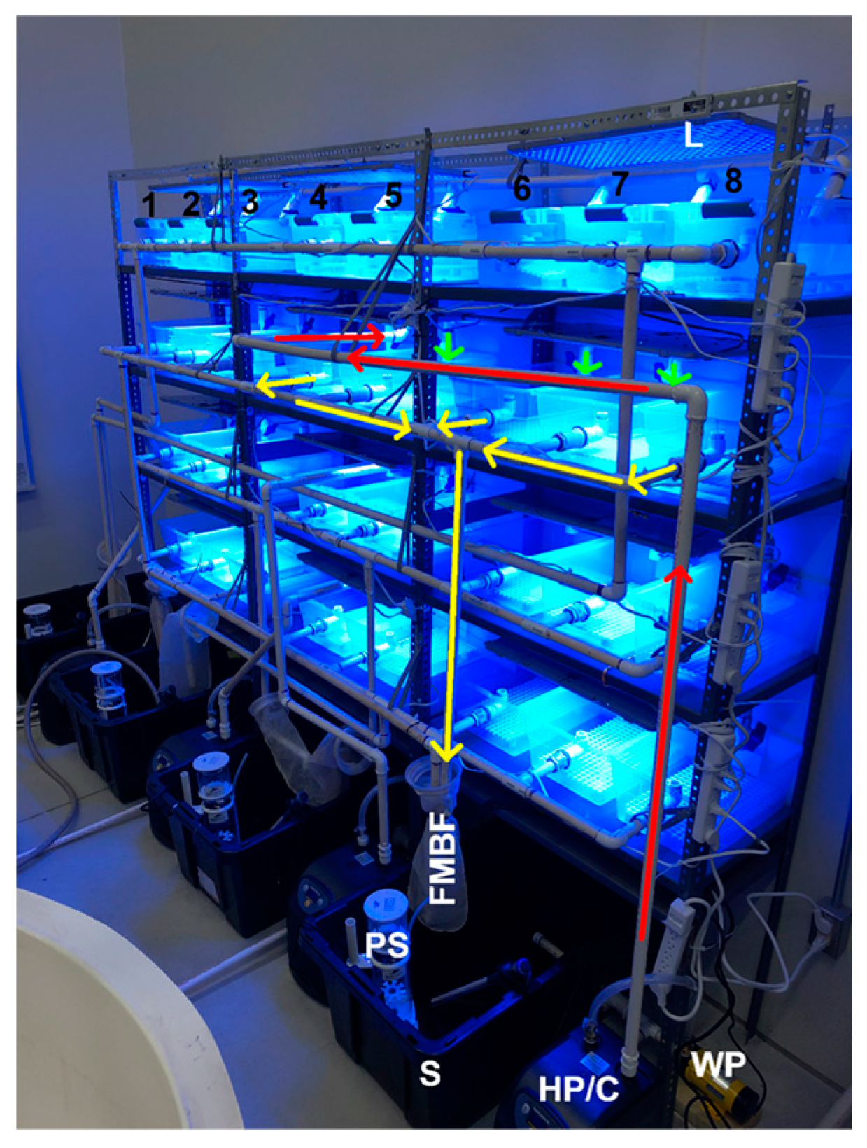 Water 17 00411 g002 Water 17 00411 g002