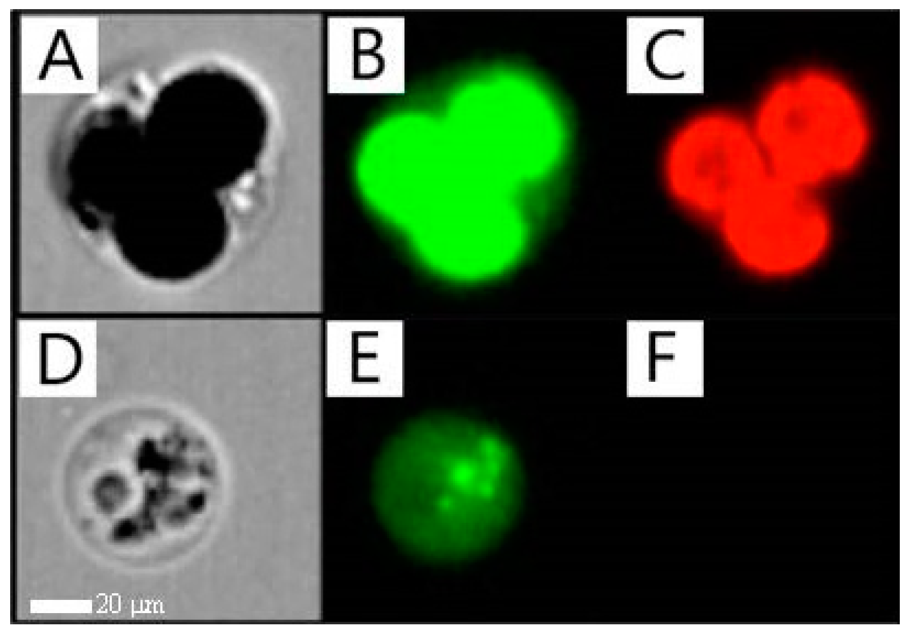 Water 17 00411 g003 Water 17 00411 g003