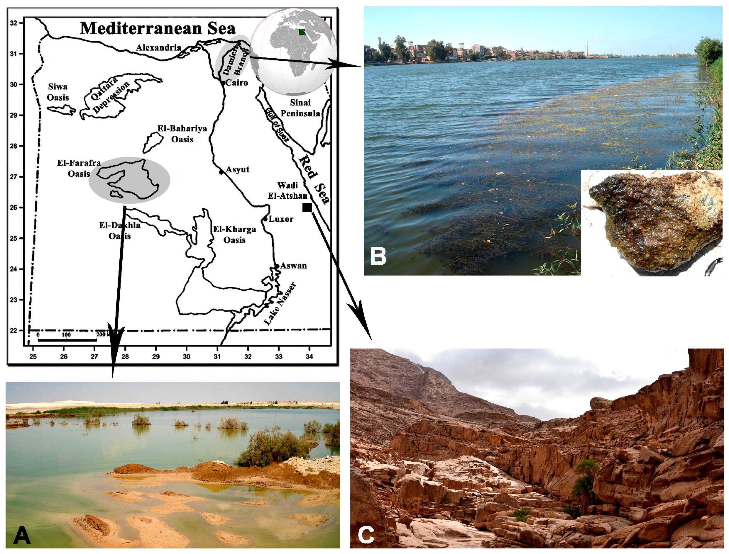 Water 17 00446 g001 Water 17 00446 g001