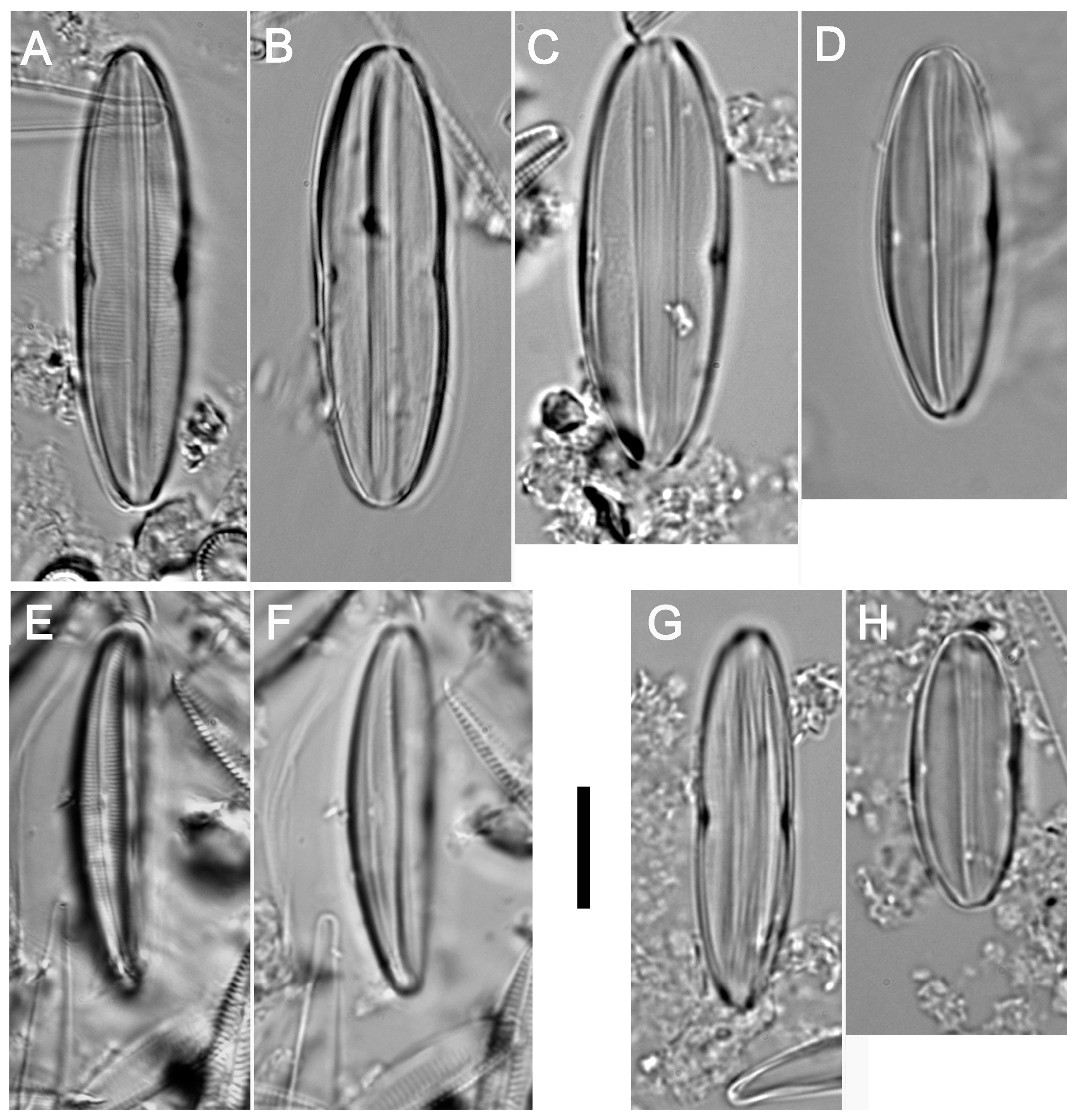 Water 17 00446 g002 Water 17 00446 g002