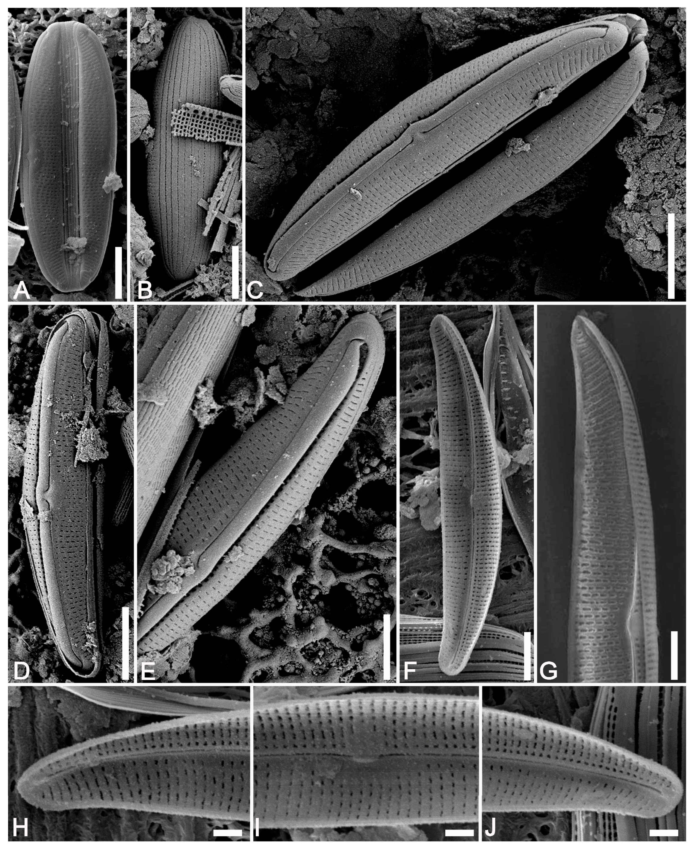 Water 17 00446 g003 Water 17 00446 g003