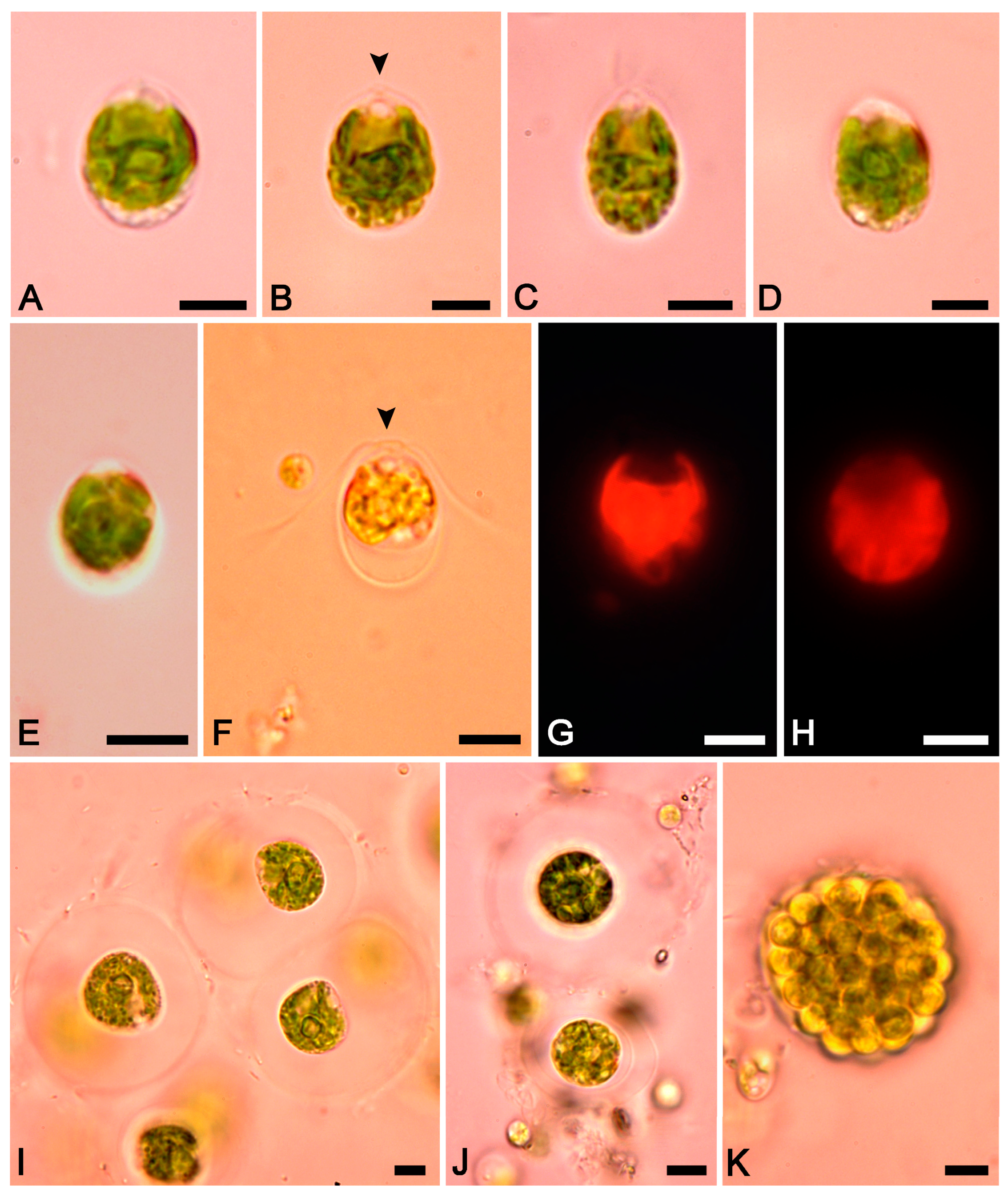 Water 17 00446 g005 Water 17 00446 g005