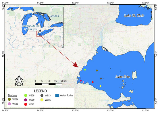 Predicting Harmful Algal Blooms Using Explainable Deep