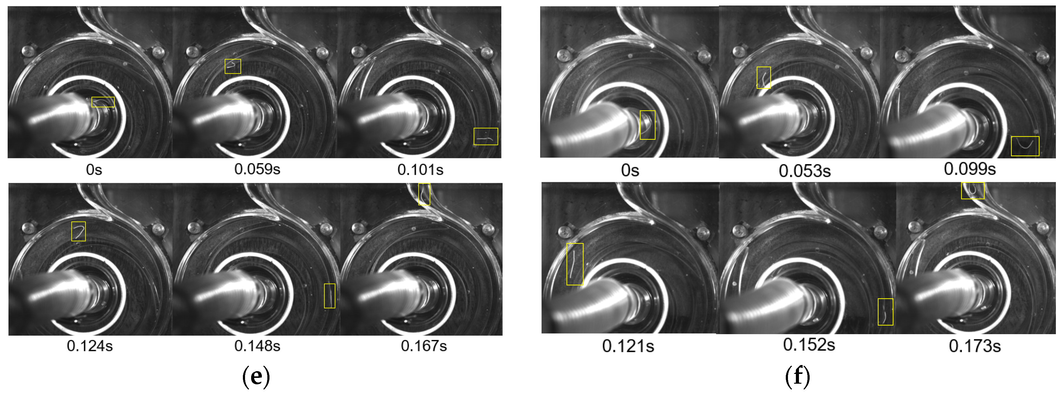 Water 17 00735 g006b