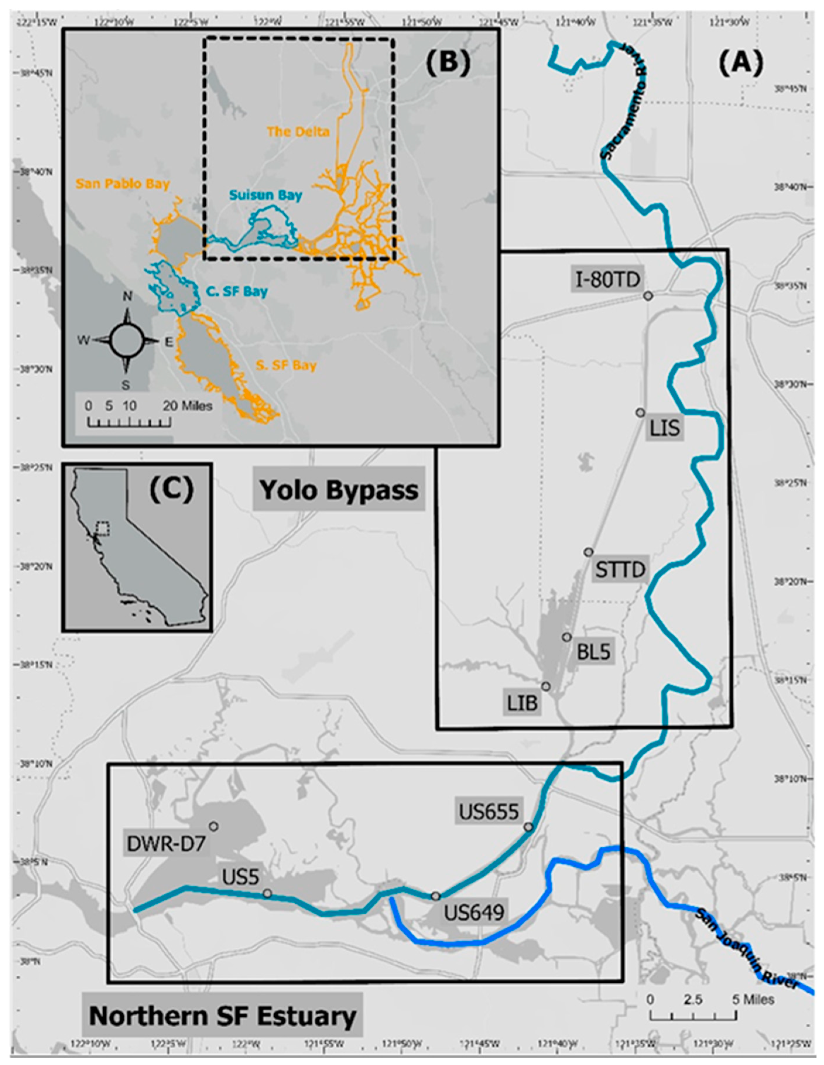 Water 17 00747 g001 Water 17 00747 g001