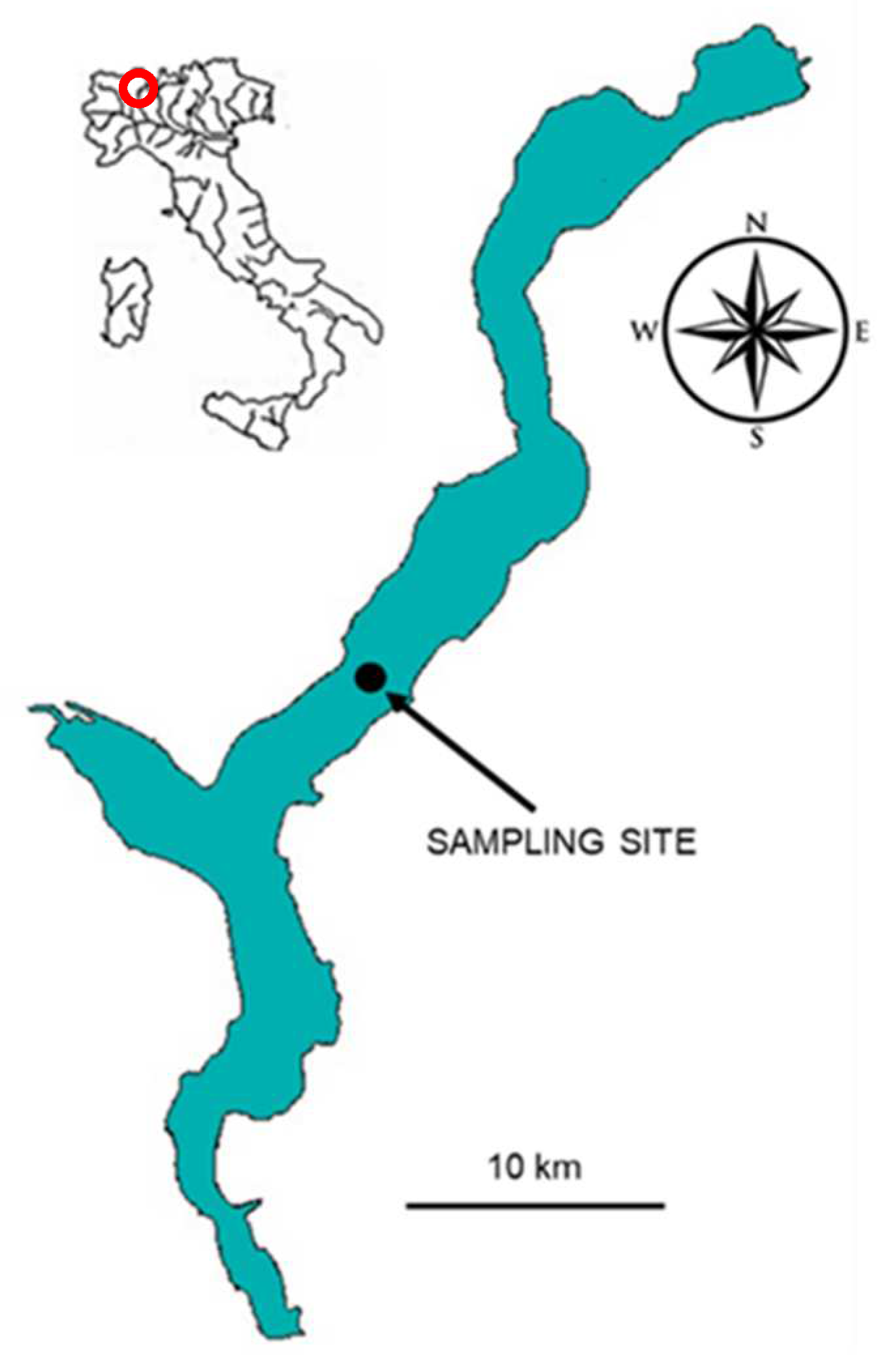 Water 17 00768 g001 Water 17 00768 g001