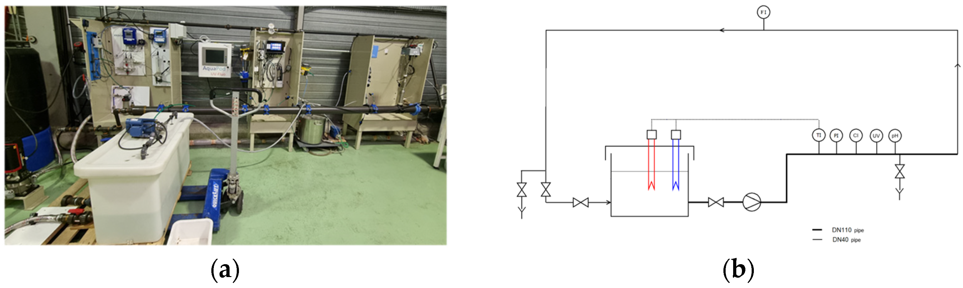 Study of Bacterial Growth in Drinking Water Distribution Pipes as a ...