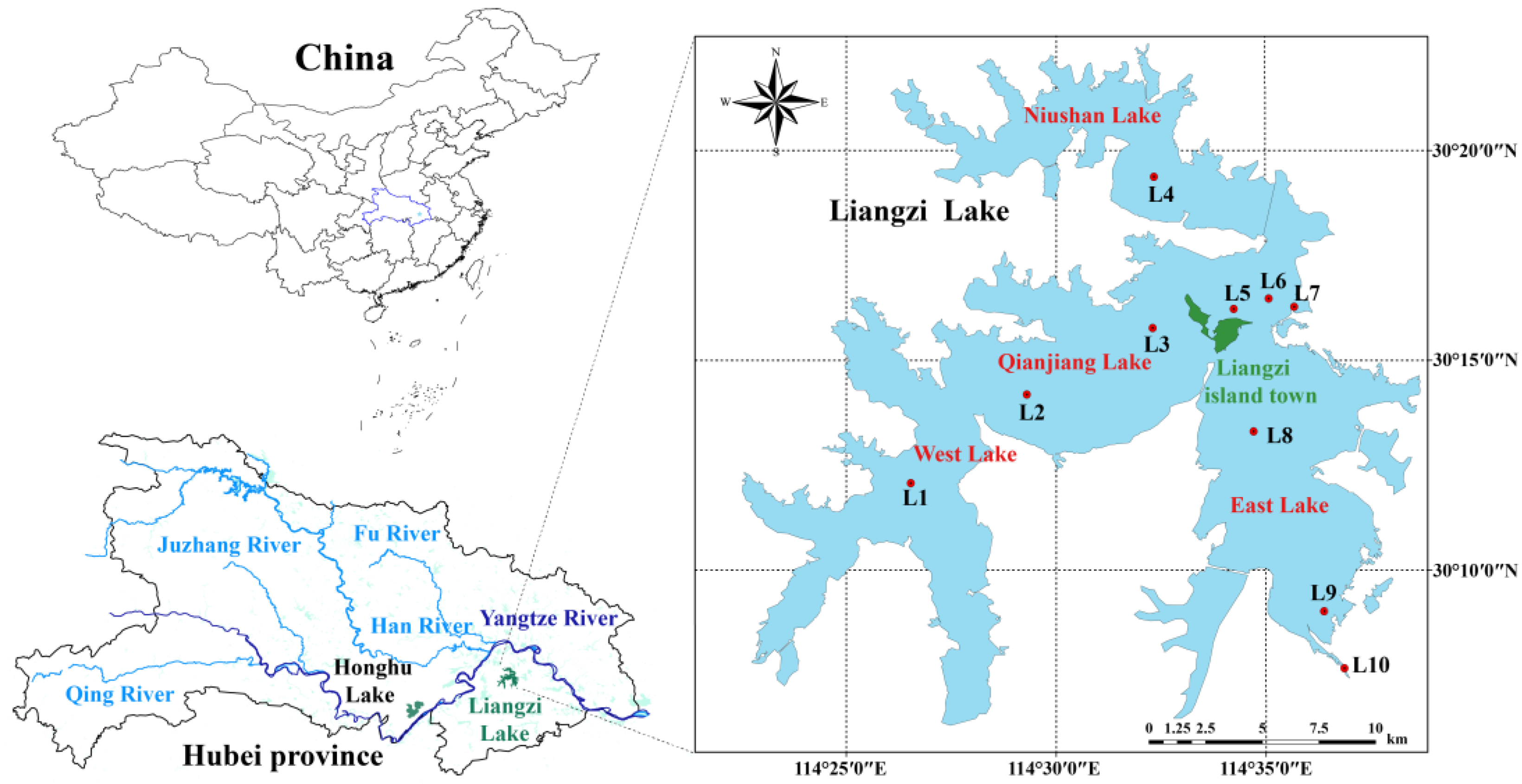 Temporal Variation of Plankton Community in Typical Lake in