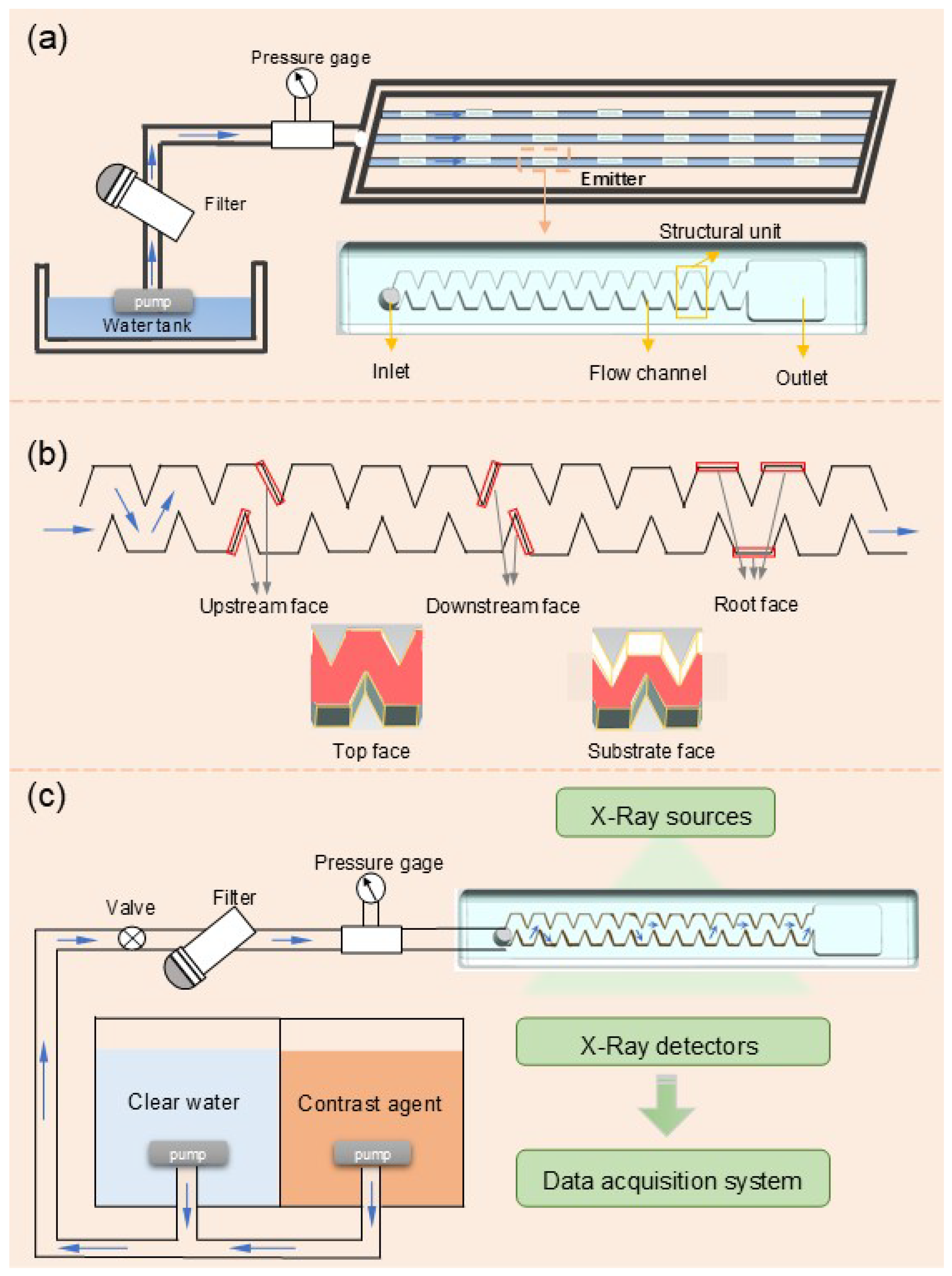 Water 17 01065 g001 Water 17 01065 g001