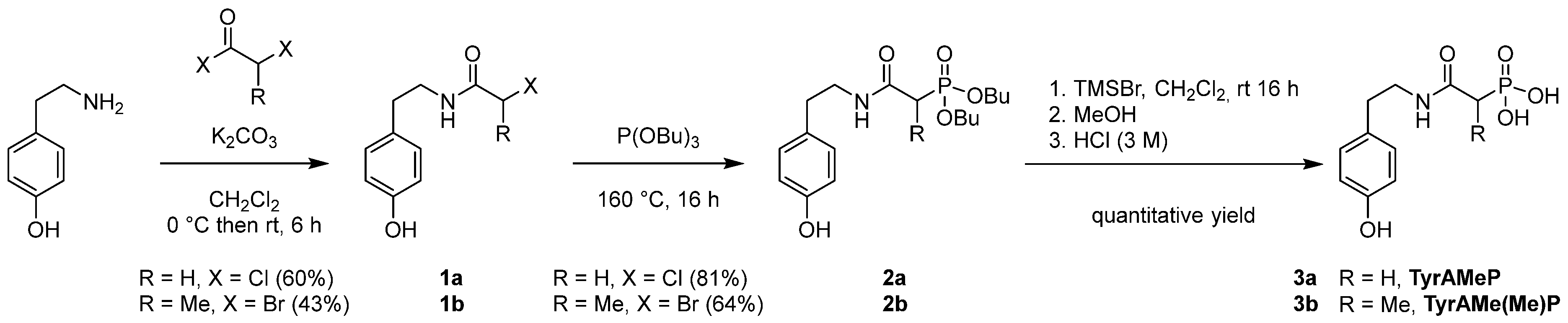Water 17 01067 sch001