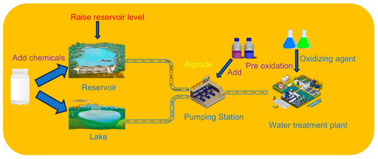 キャビテーション A Review of the Sources, Monitoring, Detection, and Removal of