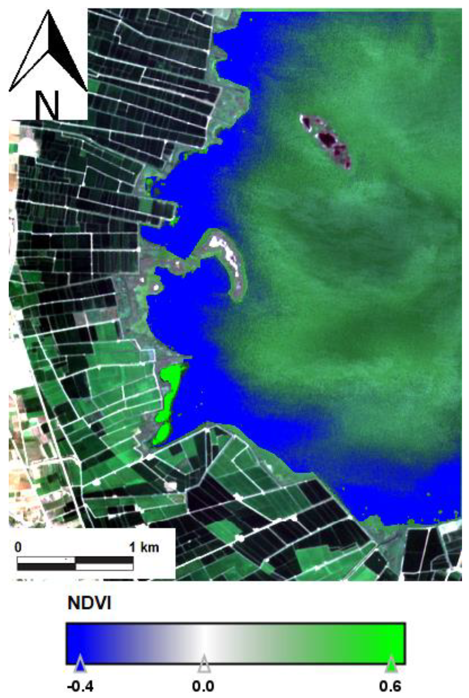 Water 17 01302 g005 Water 17 01302 g005